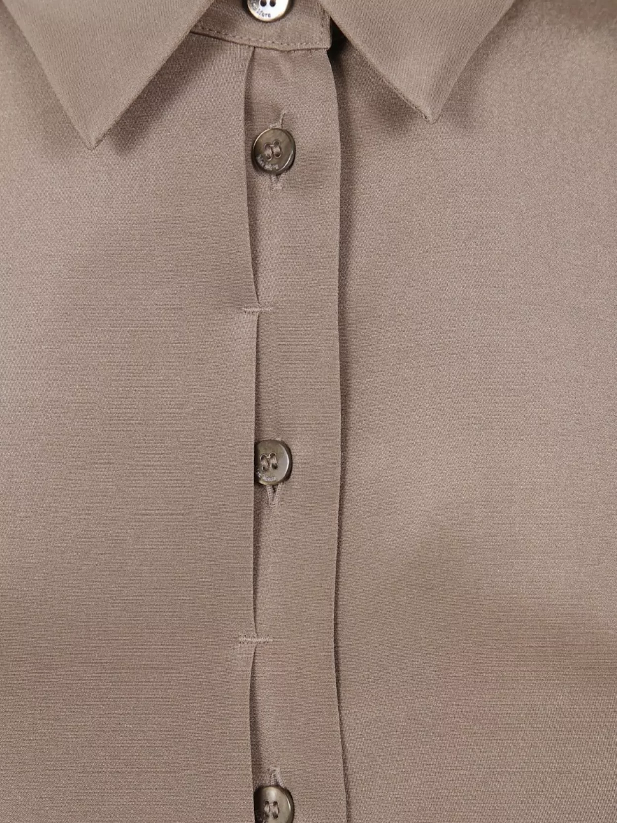 Max Mara Silk Shirt With Pleated Back "Avion"
