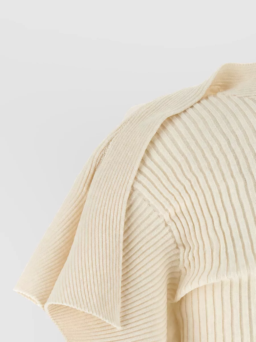 Issey Miyake Ribbed High-Neck Short-Sleeve Knitted Top
