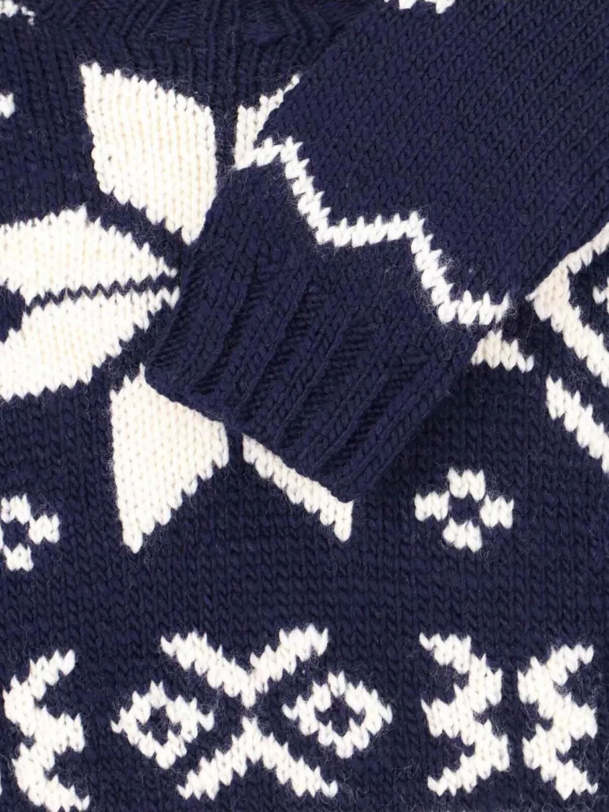 Polo Ralph Lauren Knitted Pattern Crewneck Sweater With Ribbed Finish In Blue