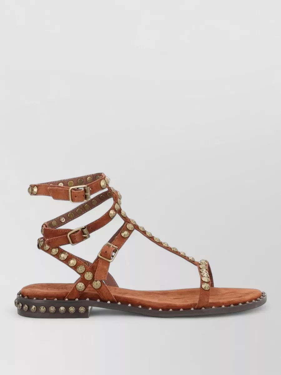 Ash leather sandals