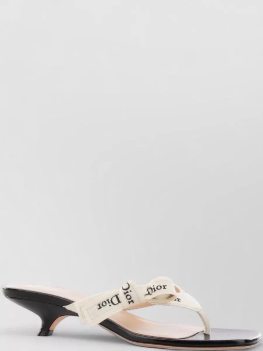 Dior Leather Mules In Multi
