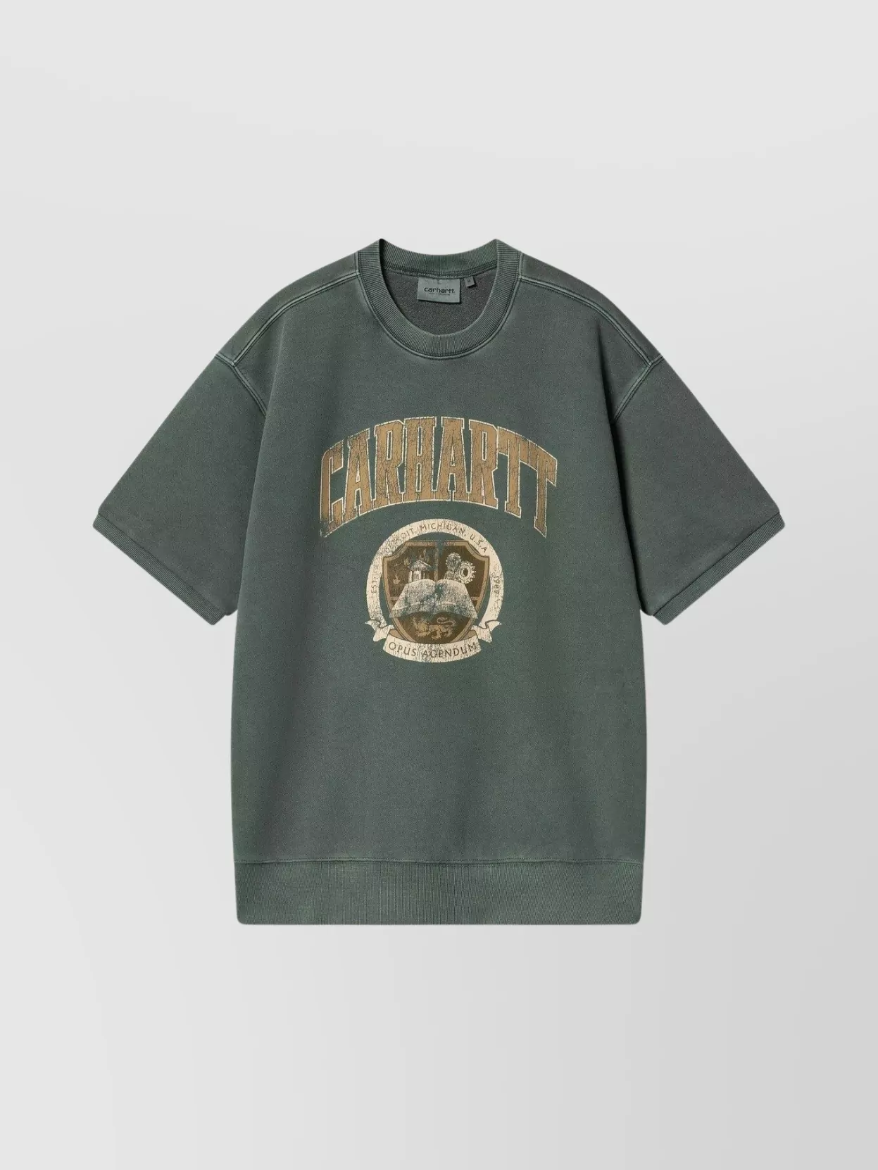 Carhartt Oversized Crew Neck Graphic Print Sweatshirt In Green