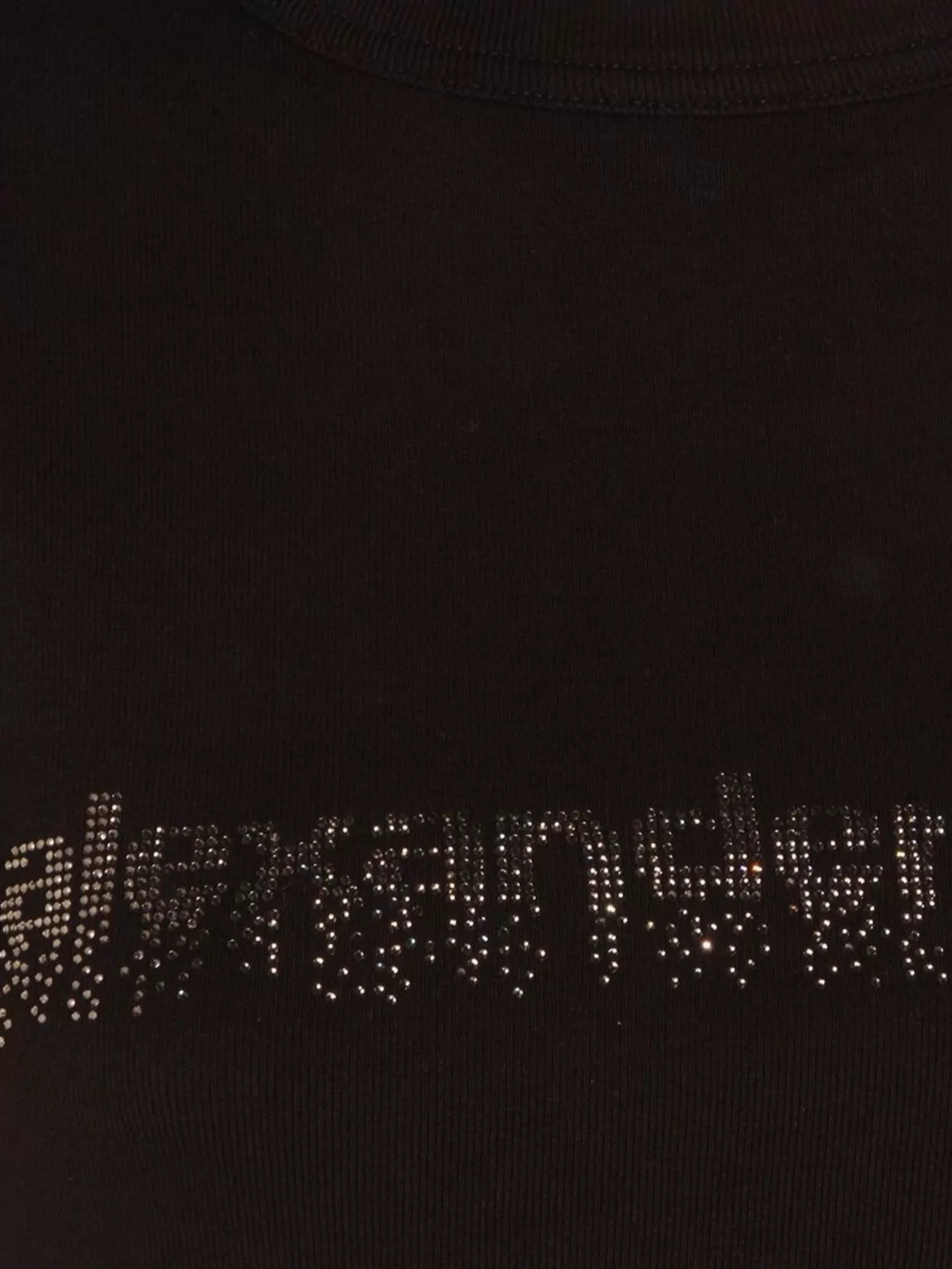 Alexander Wang Short Sleeve Fitted Crew Neck Top