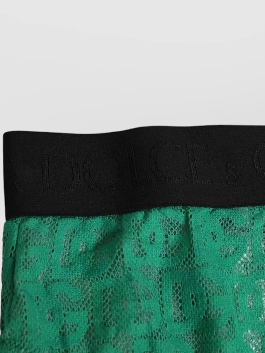Dolce&Gabbana Logo Lace High-Waisted Briefs