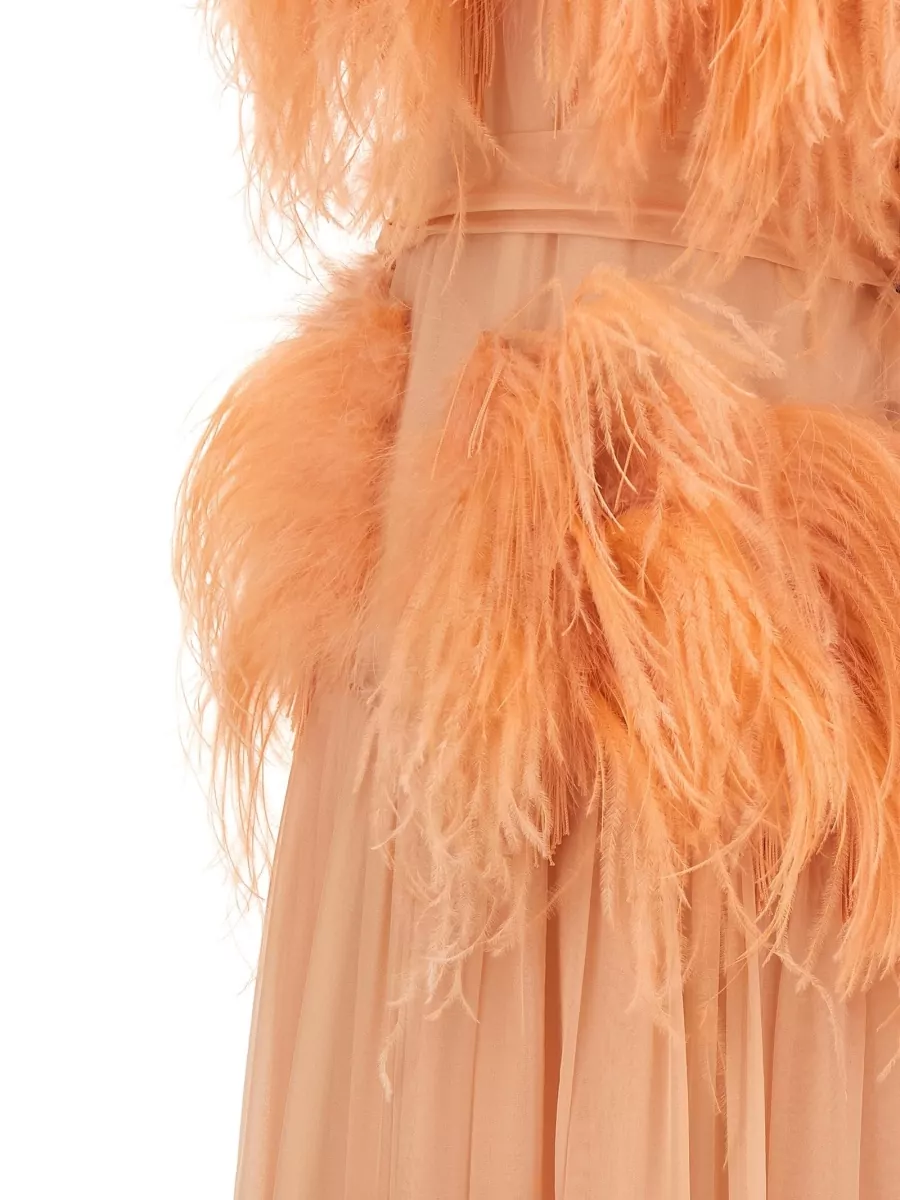 Alberta Ferretti Silk Sleeveless Feather-Embellished Chiffon Maxi Dress