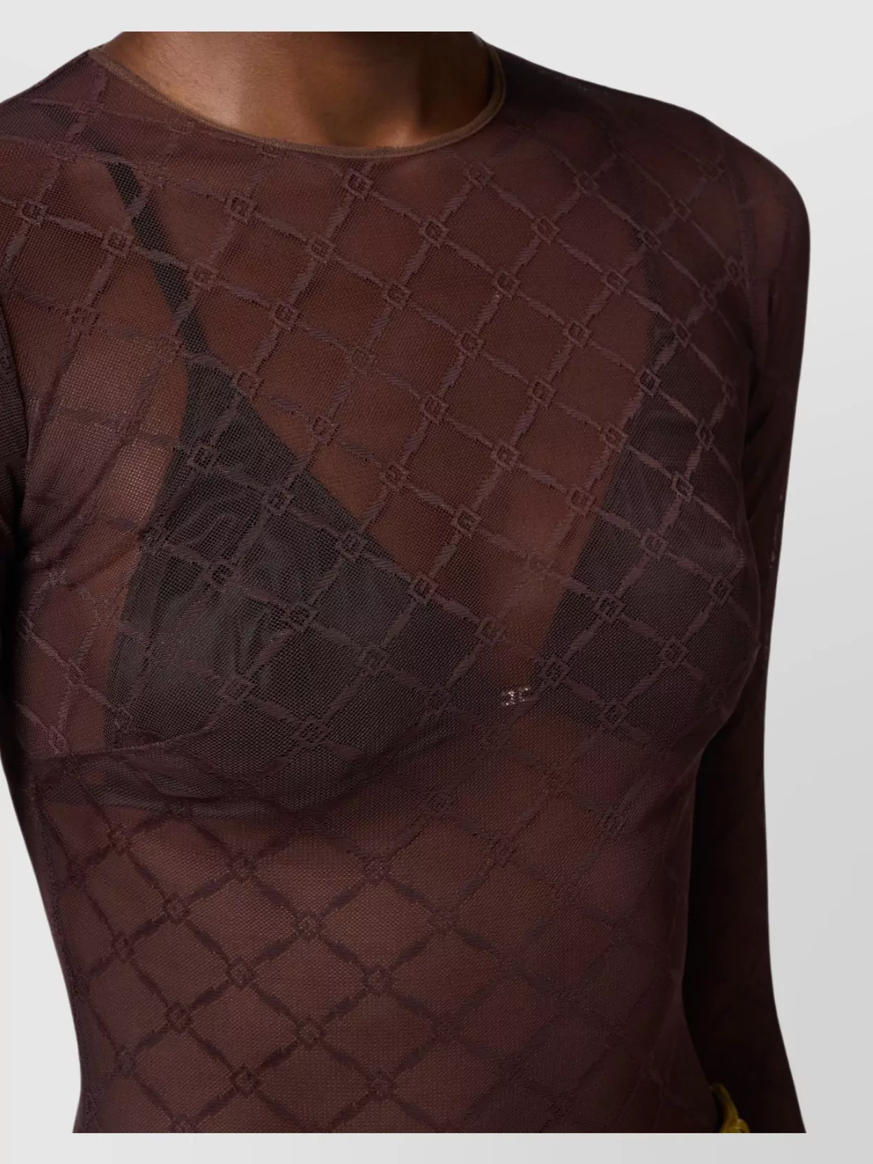 Elisabetta Franchi Sheer Fabric Long Sleeves Round Neckline
