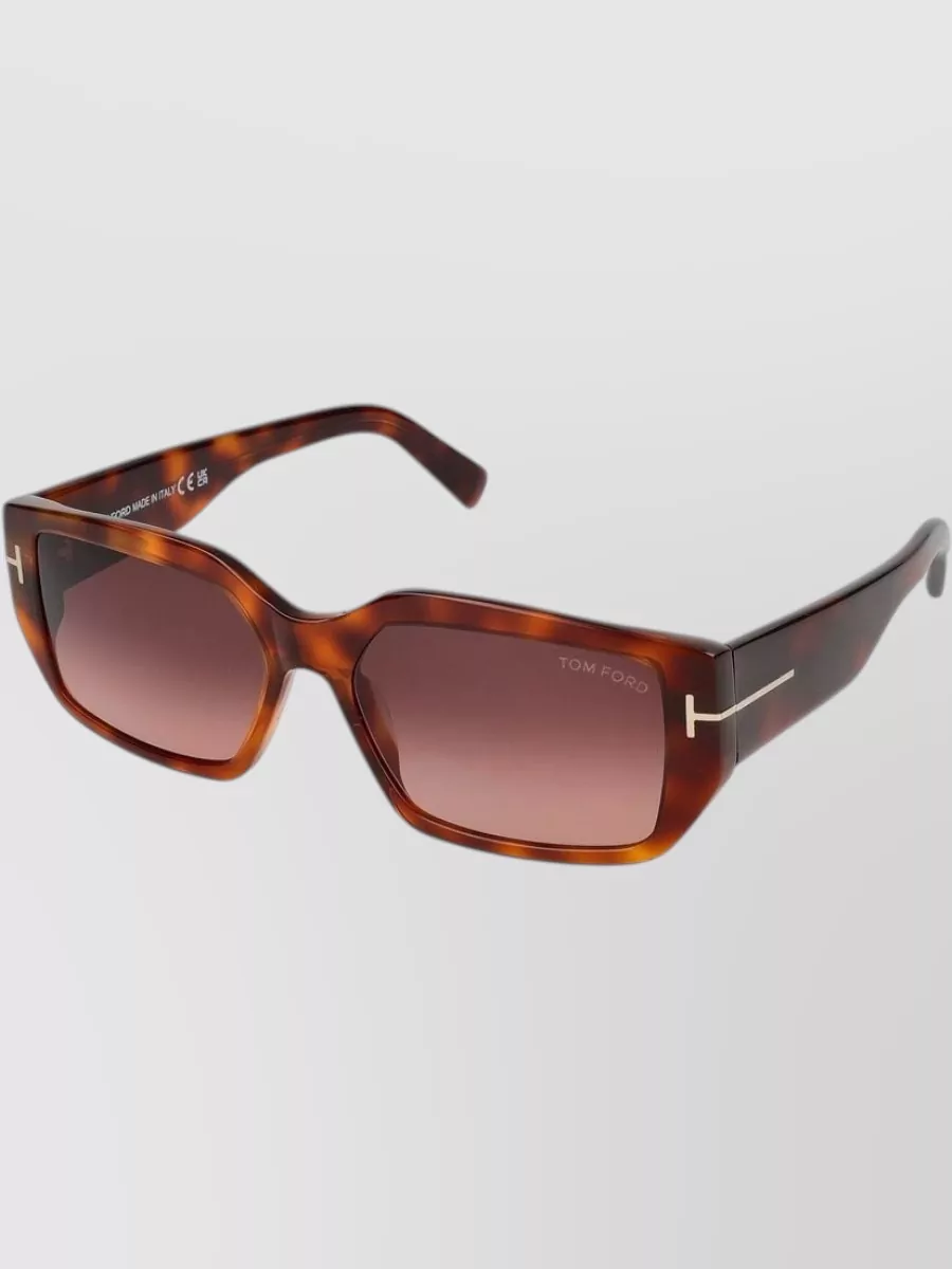 Tom Ford Injected Plastic Sunglasses