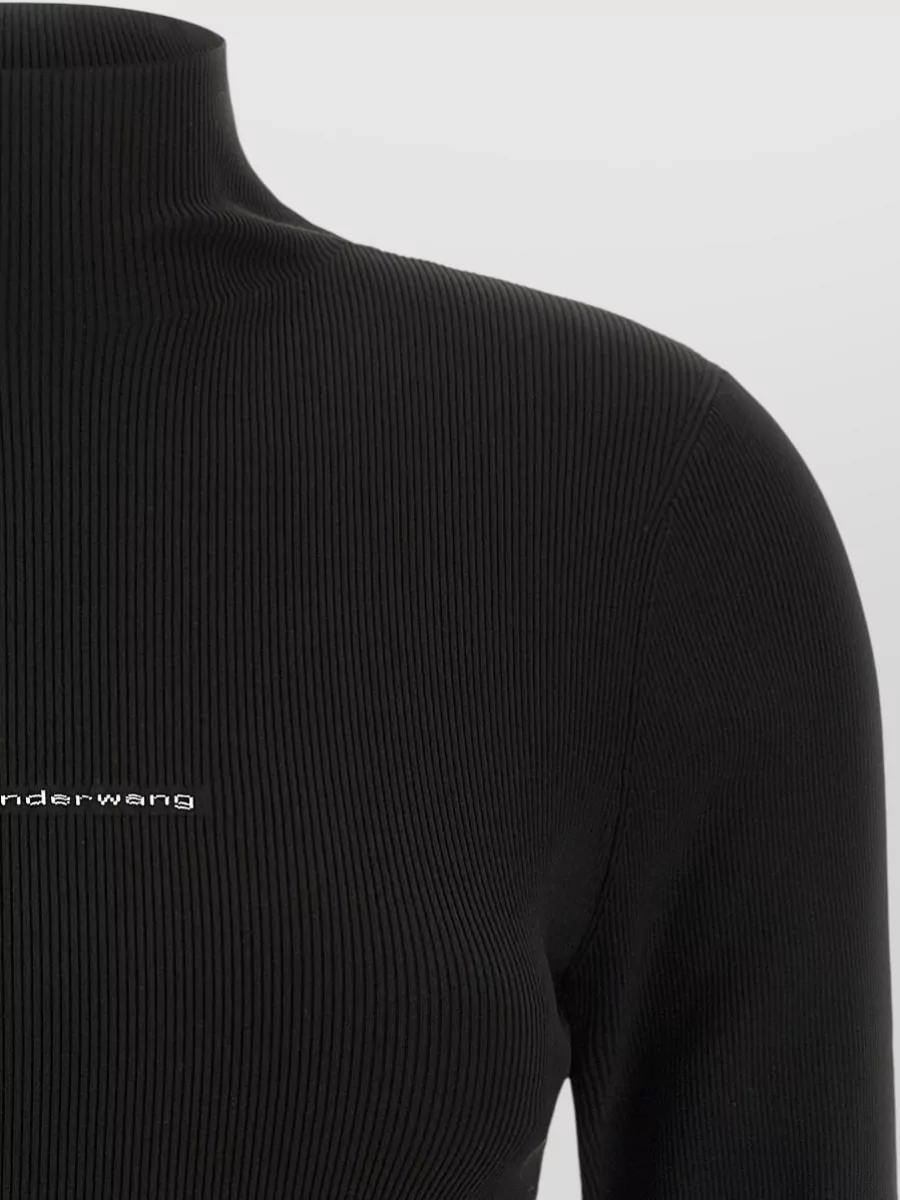Alexander Wang Ribbed Turtleneck Long-Sleeve Top