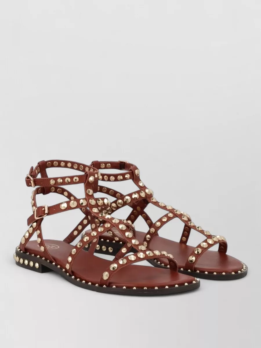 Ash Leather Gladiator Sandals