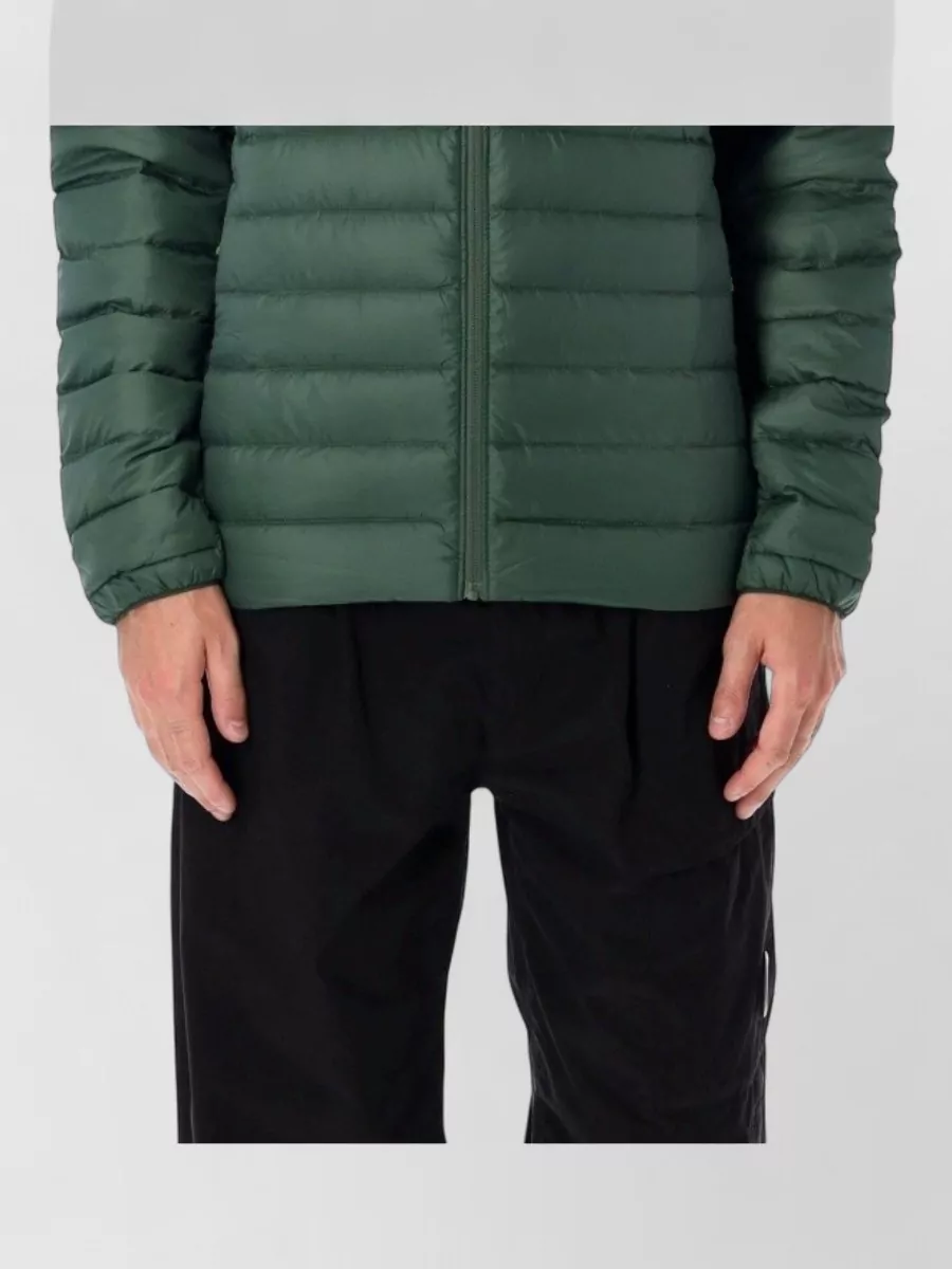 Patagonia down puffer hooded jacket