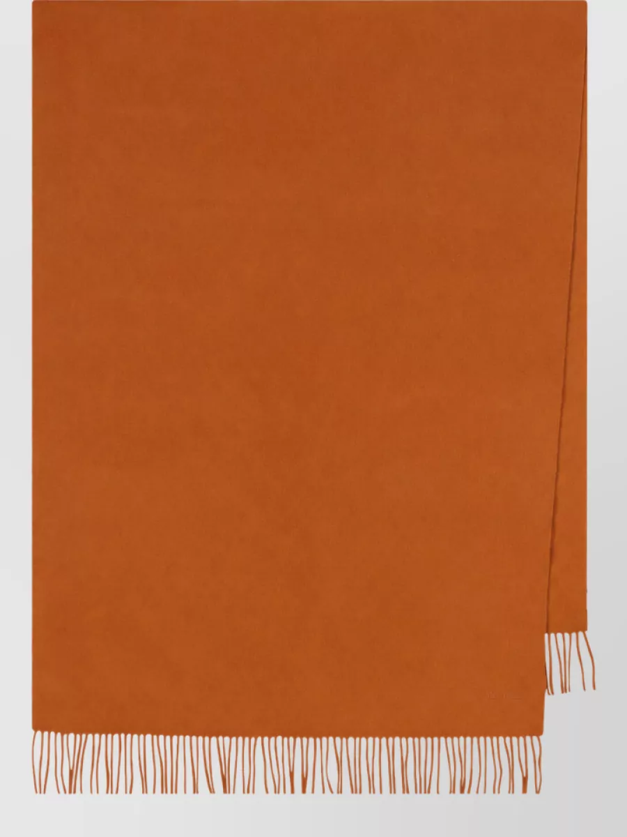 Max Mara cashmere fringe scarf