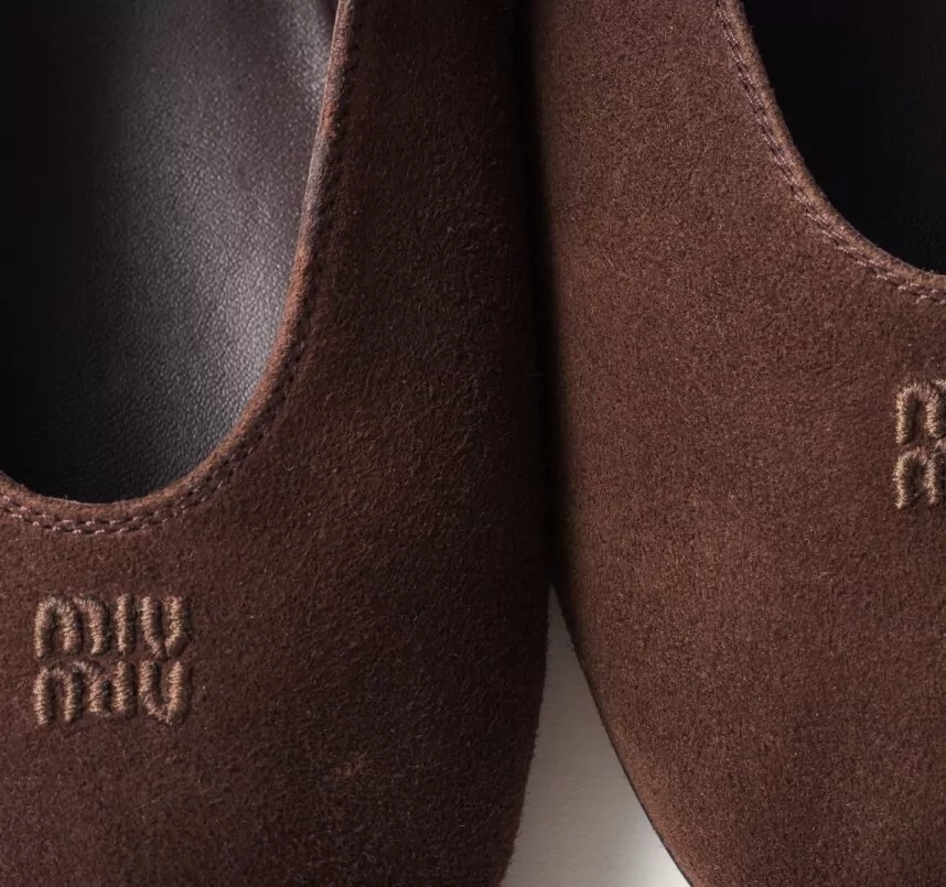 Miu Miu Suede Ballerina Shoes