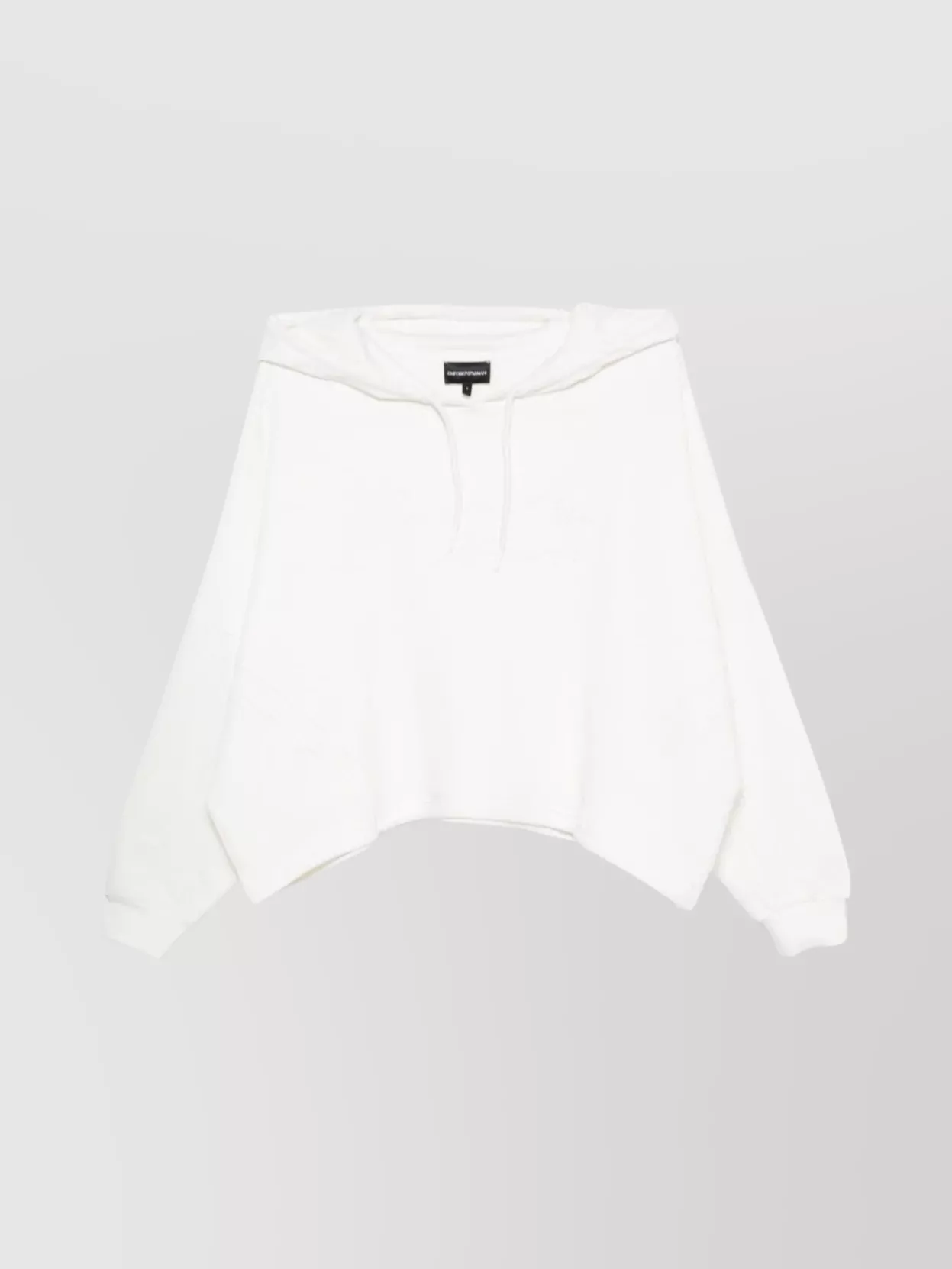Emporio Armani Logo Hoodie Organic Cotton Drawstring Hem