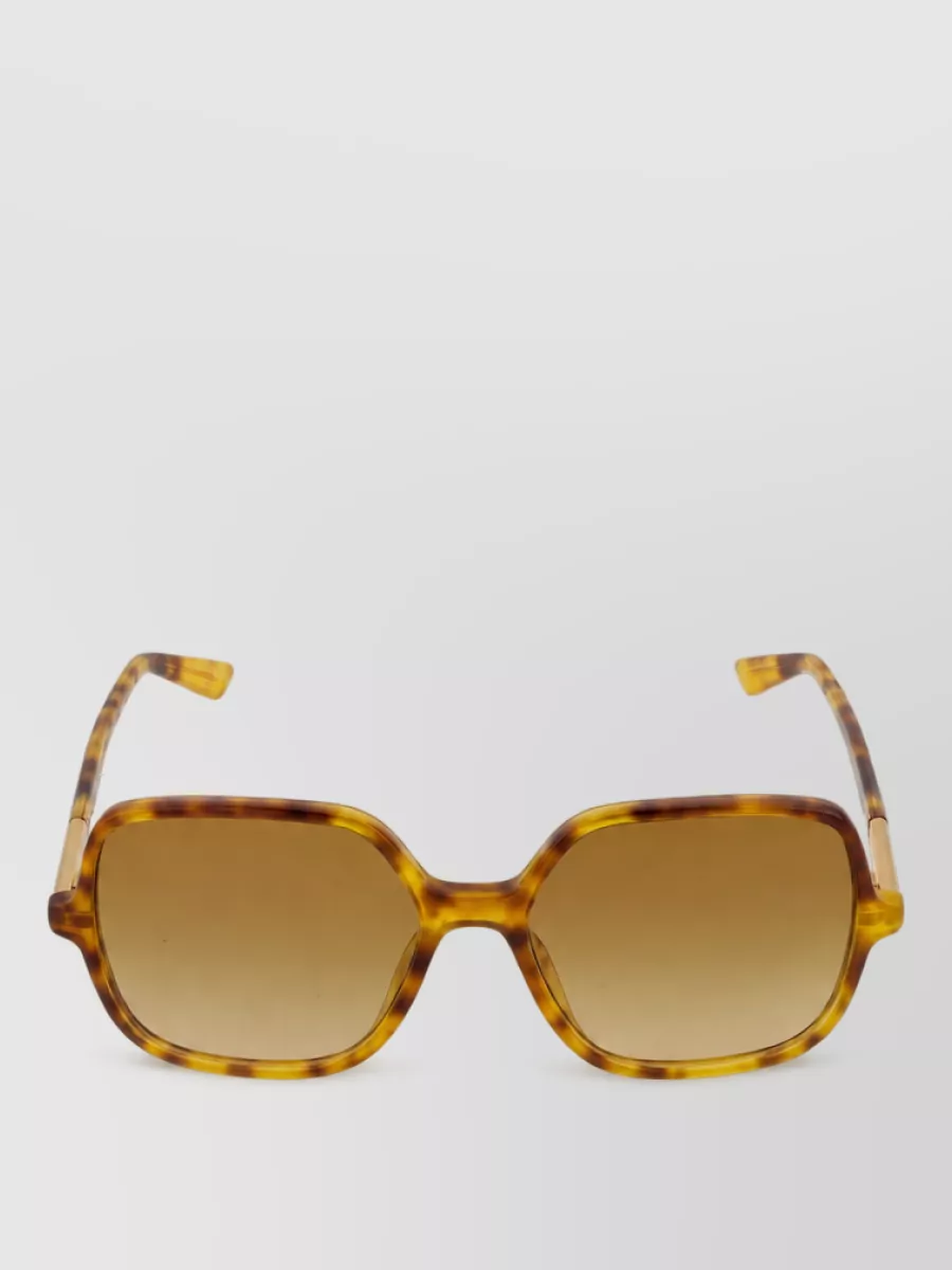 Chloé acetate sunglasses