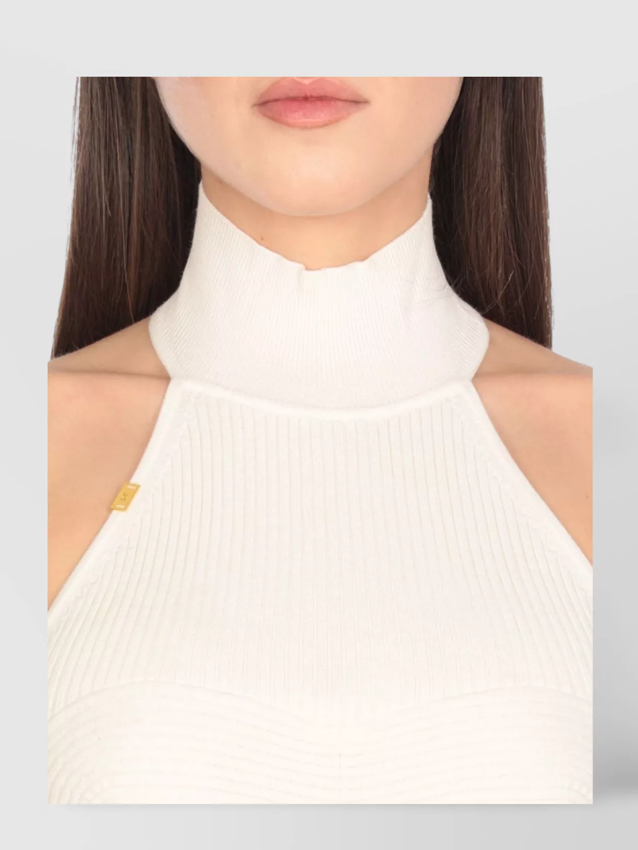 Elisabetta Franchi Ribbed Halterneck Crop Top