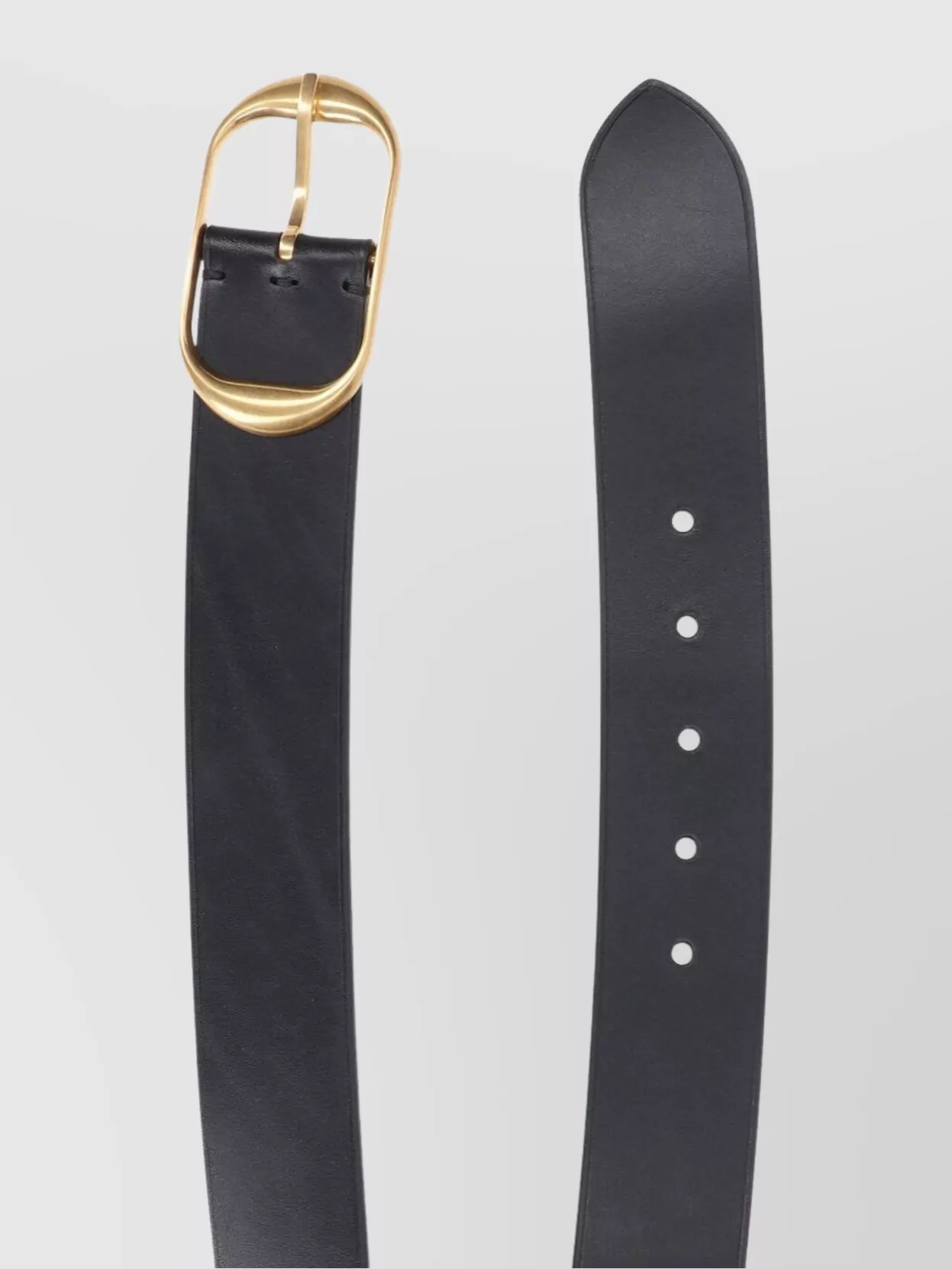 Nili Lotan Adjustable Smooth Finish Belt With Gold-Tone Buckle