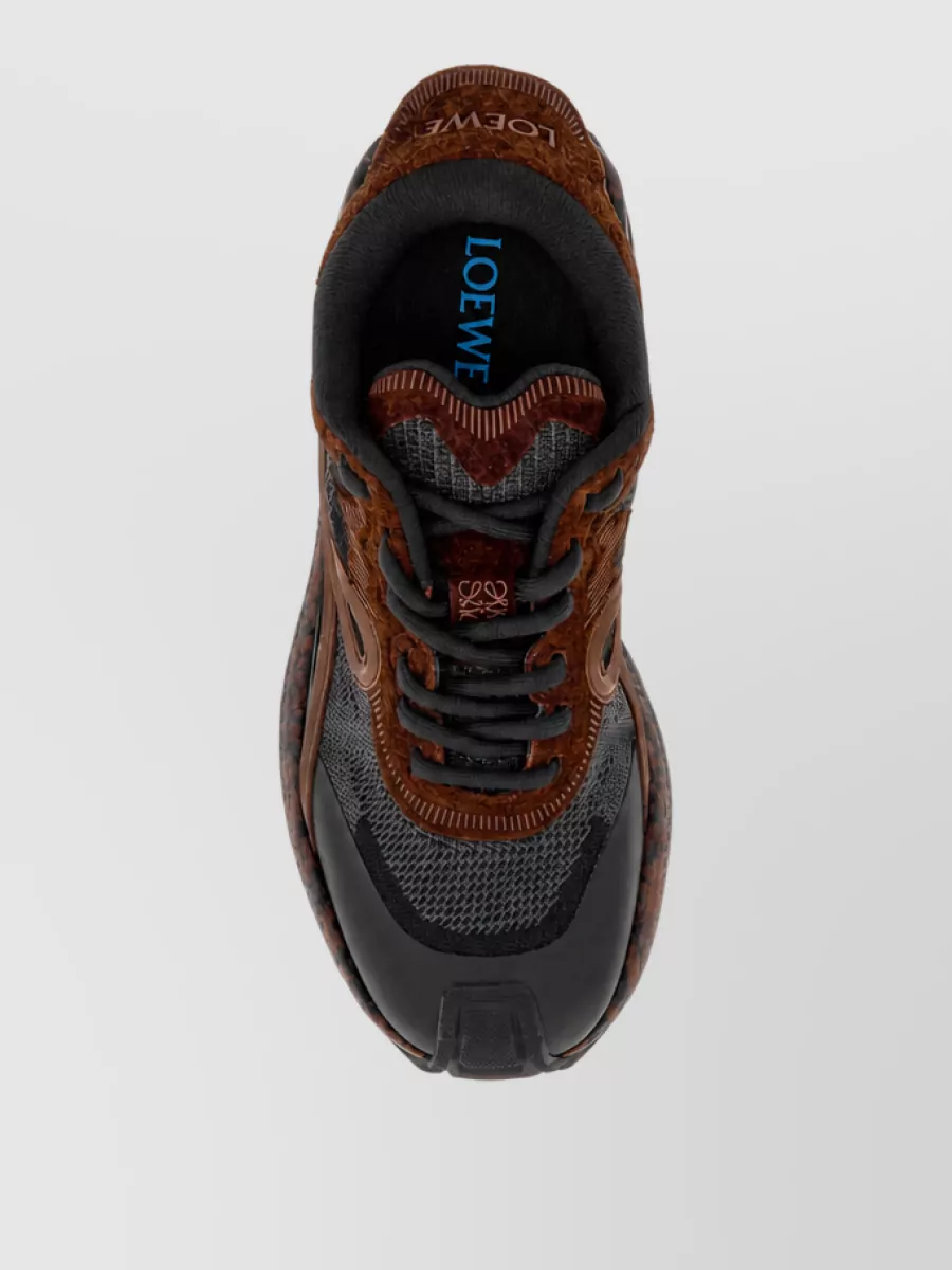 Loewe Low-Top Sneakers