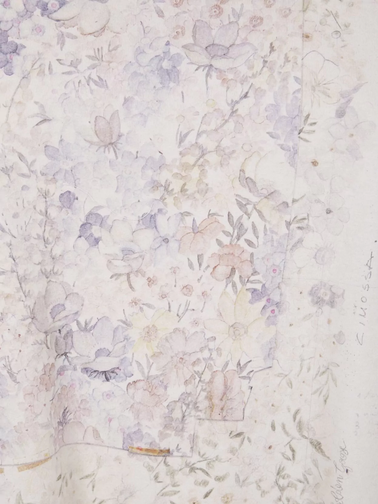 Golden Goose "Journey W's" Floral Print Crew Neck T-Shirt