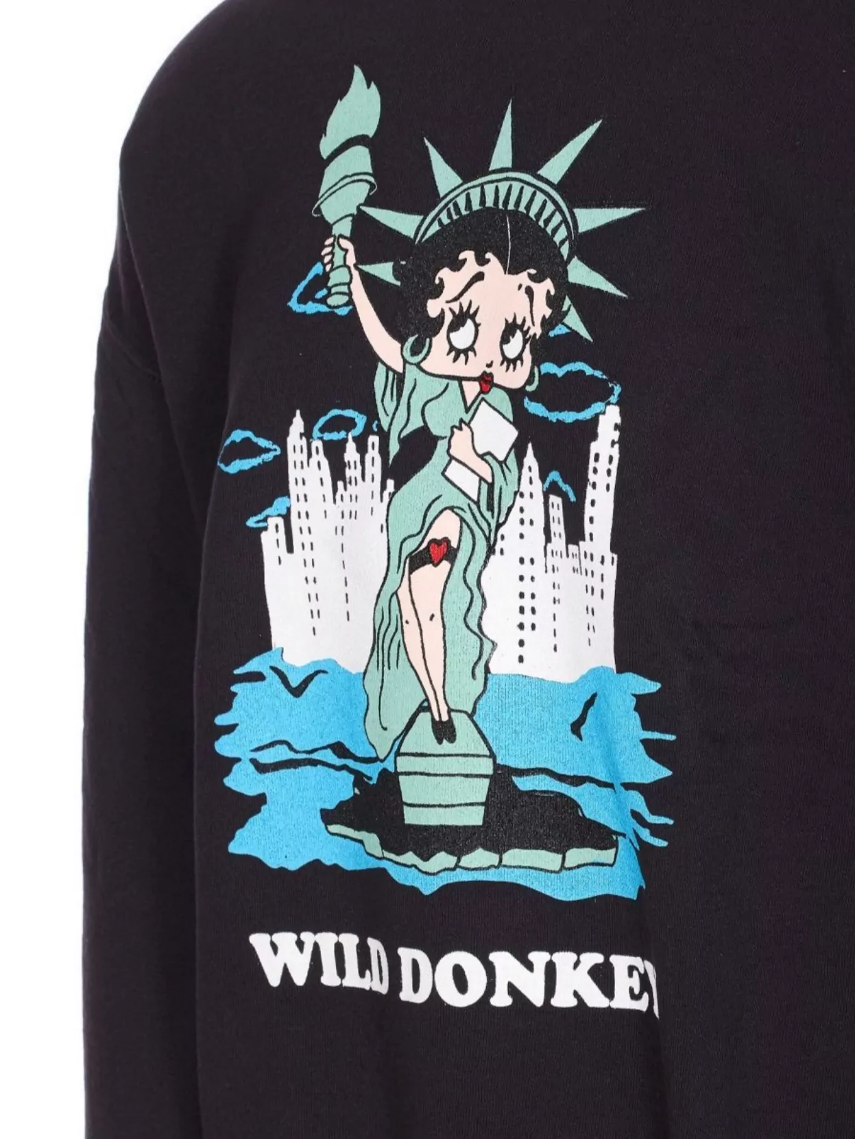 Wild Donkey Graphic Print Crewneck Sweater With Long Sleeves
