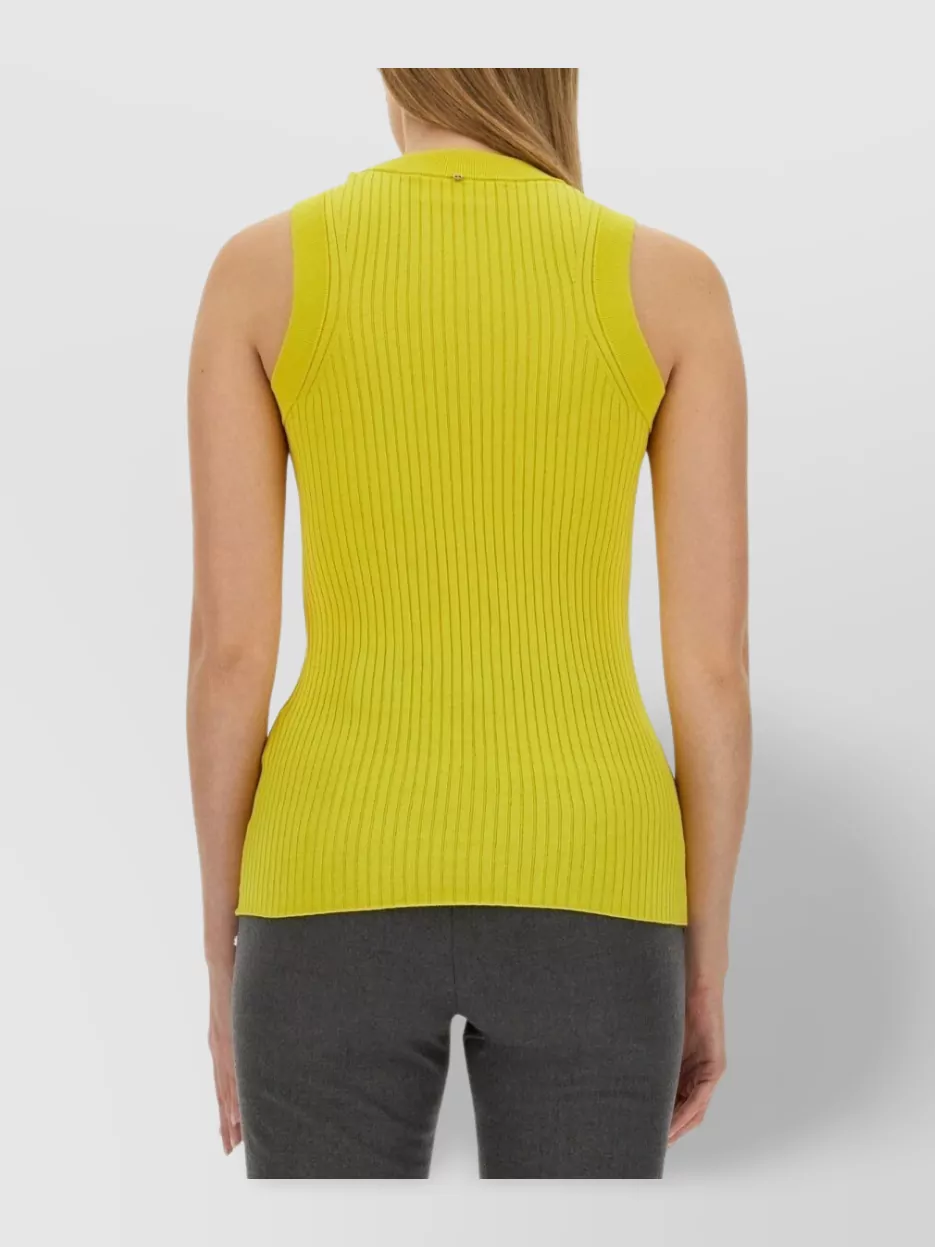 Sportmax Fitted Sleeveless Ribbed Crew Neck Top