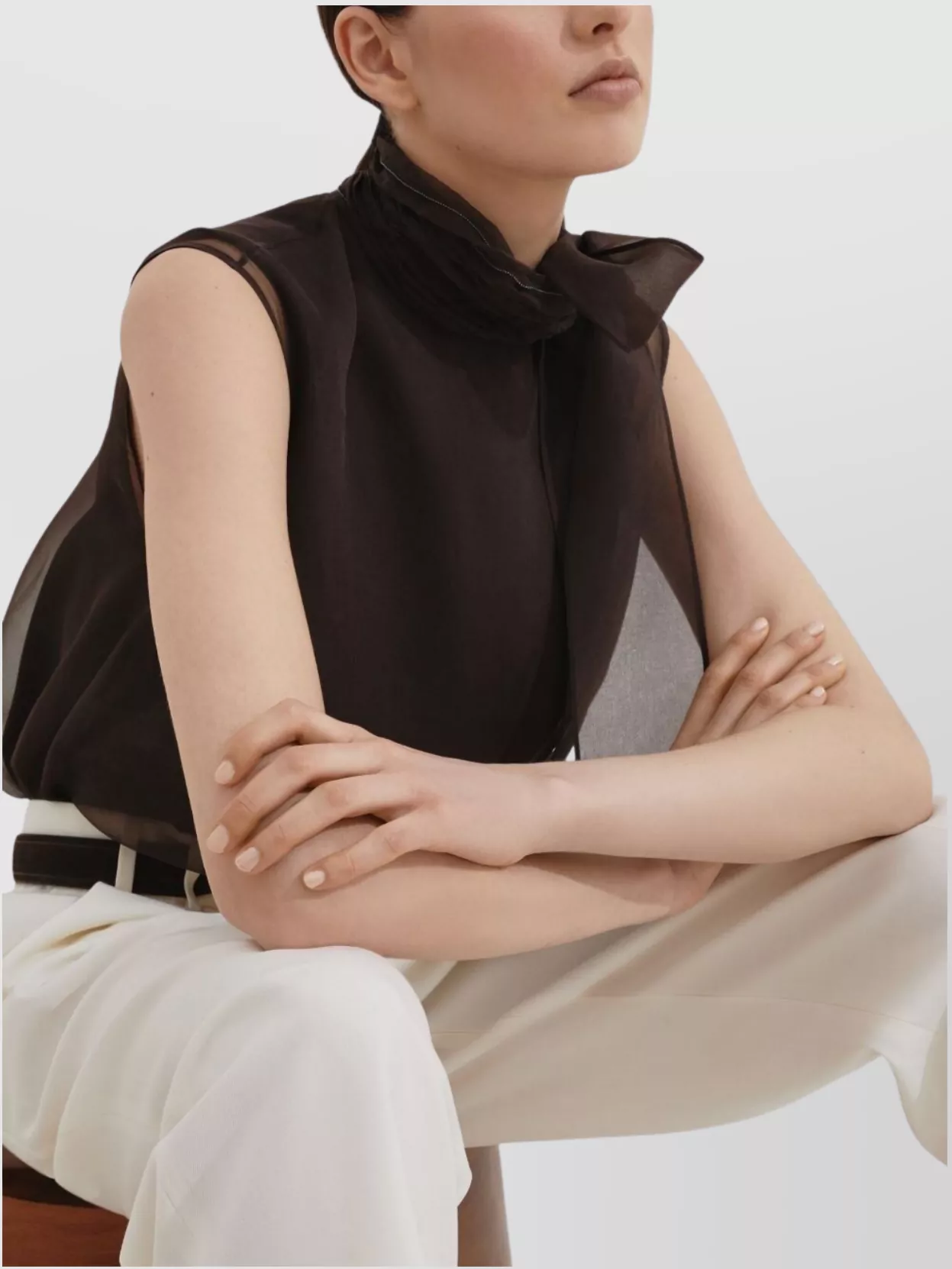 Brunello Cucinelli Pussybow Top With Monili In Brown