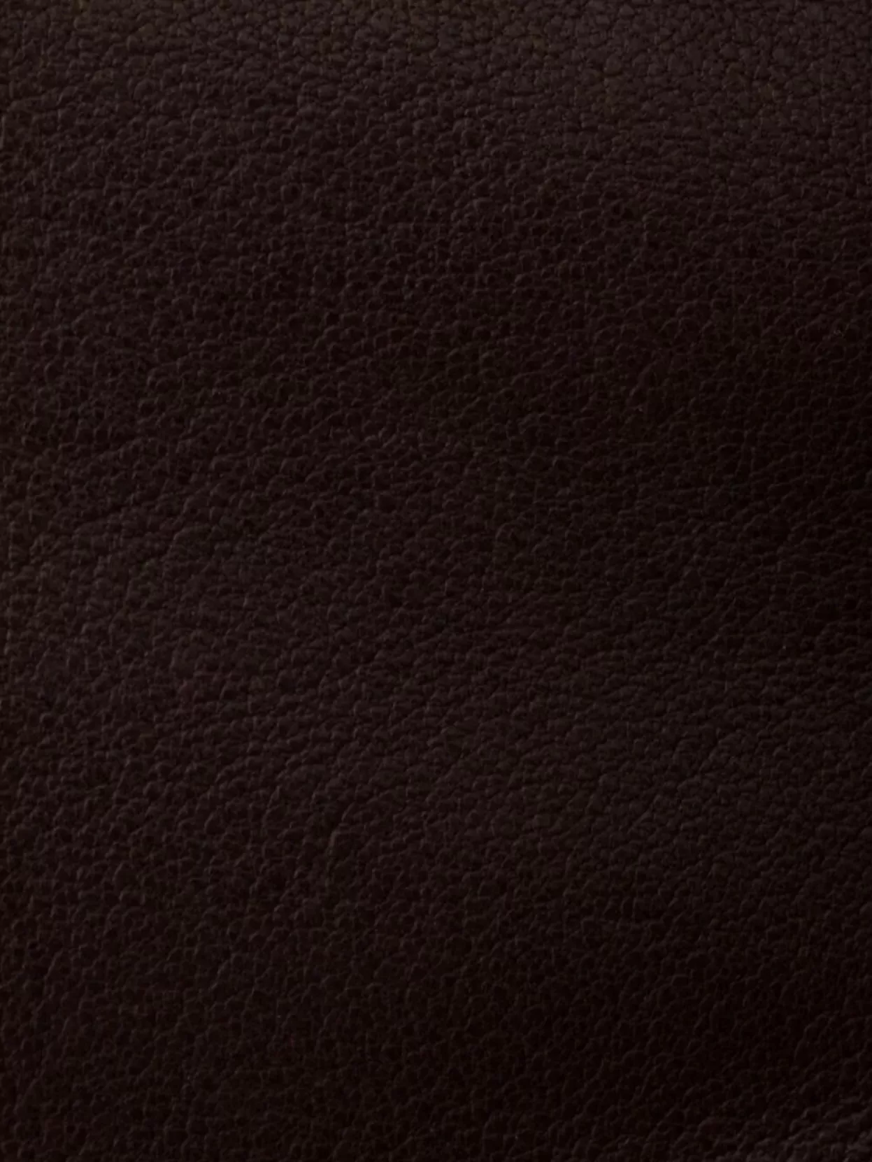 Prada Medium Nappa Leather Shoulder Bag Flap