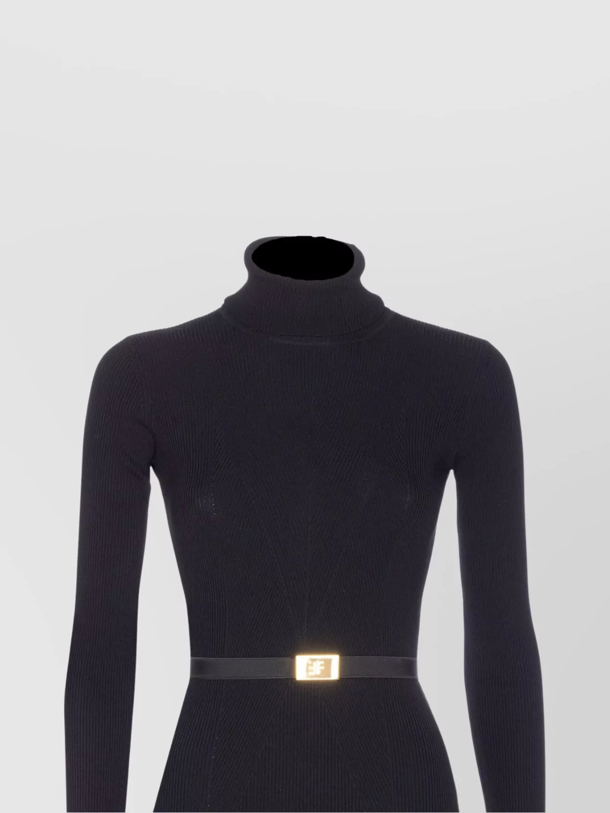 Elisabetta Franchi Knitted Dress With Belted Waist And Turtleneck In Black