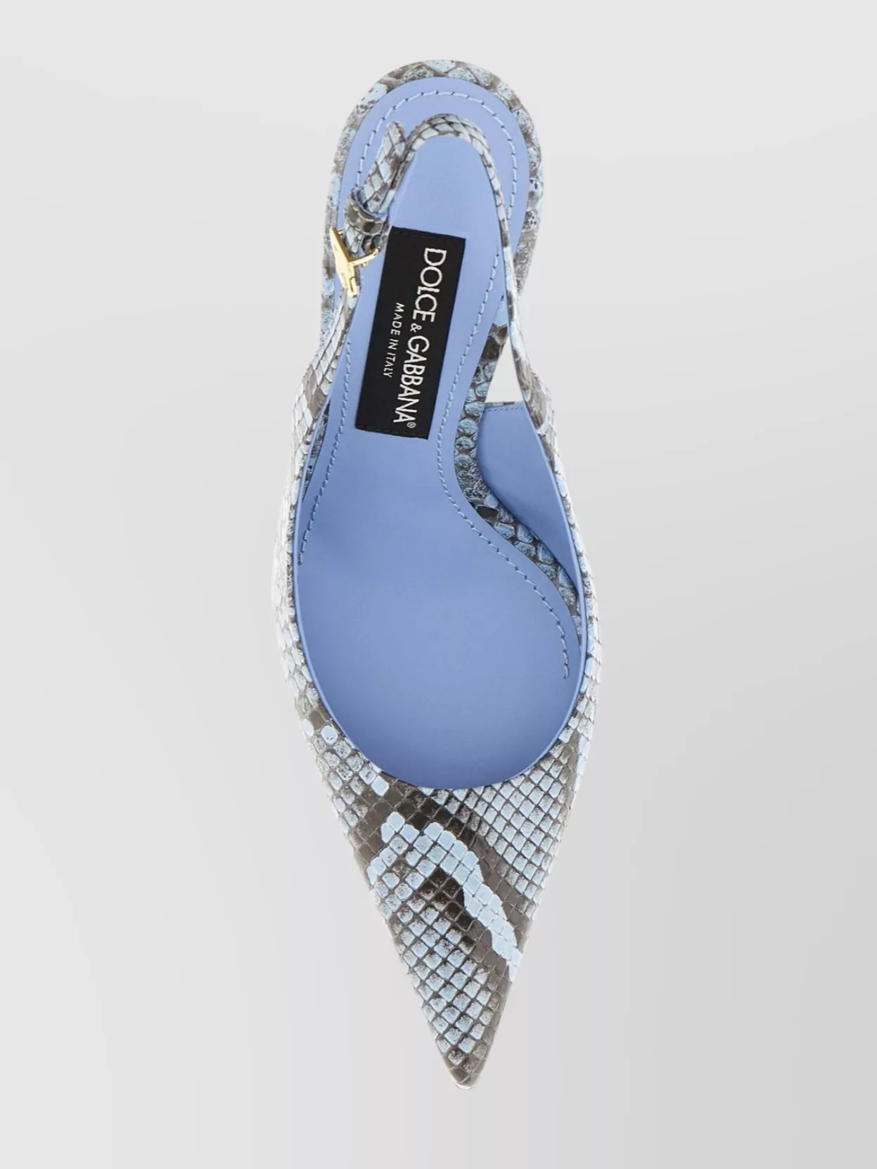 Dolce & Gabbana Multicolor Python Pumps
