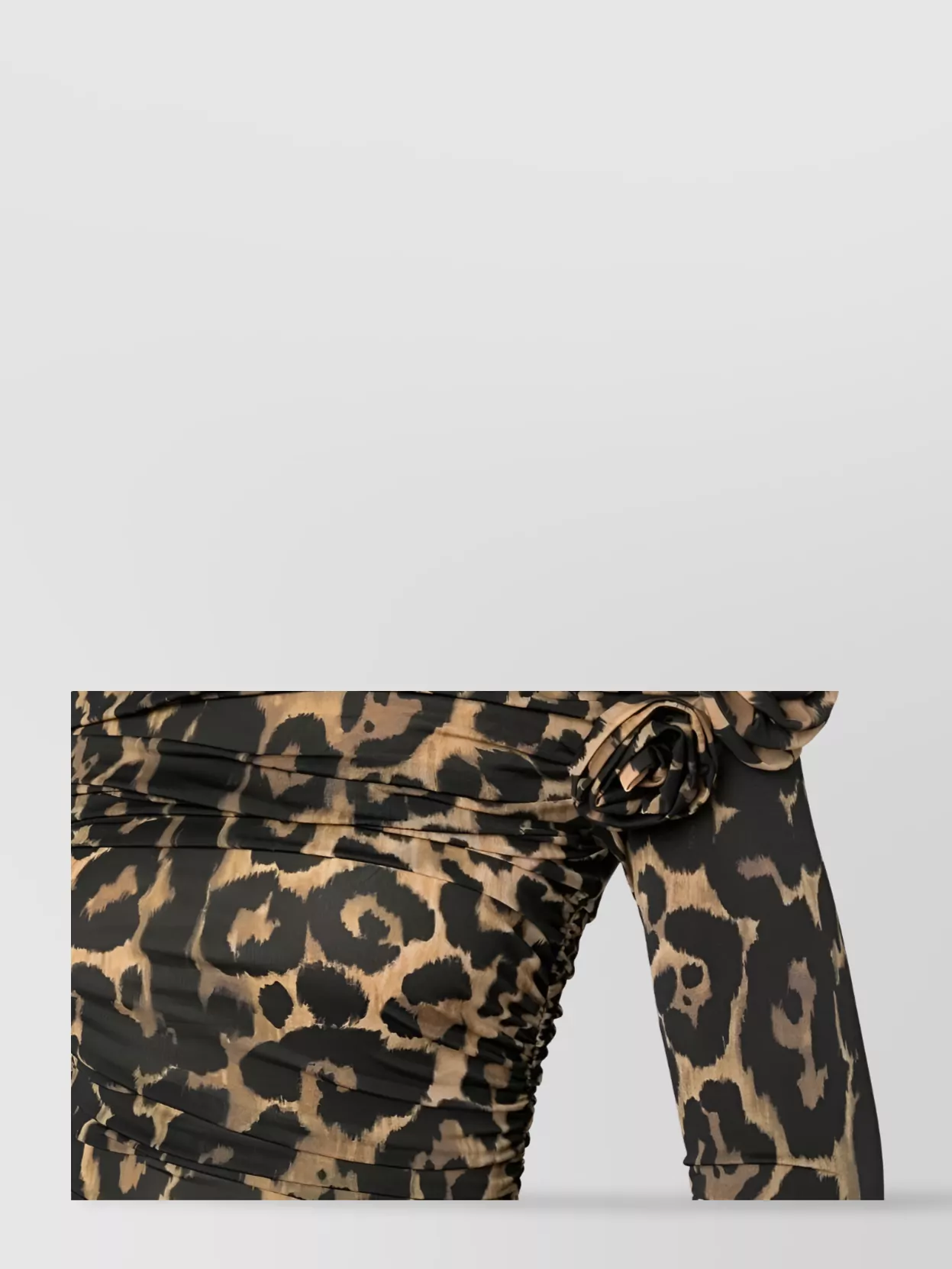 Blumarine Rose Appliqué Leopard Dress