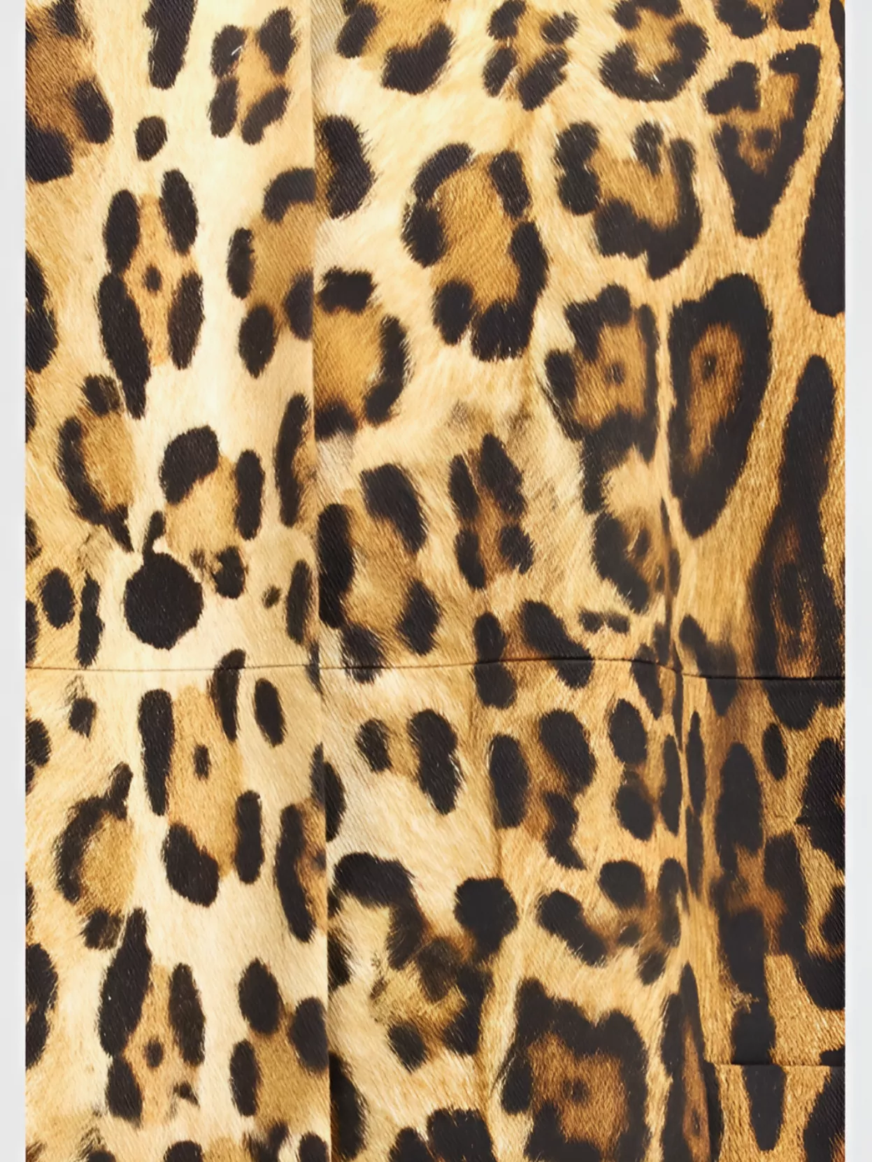 Prada Coat With Animal Print