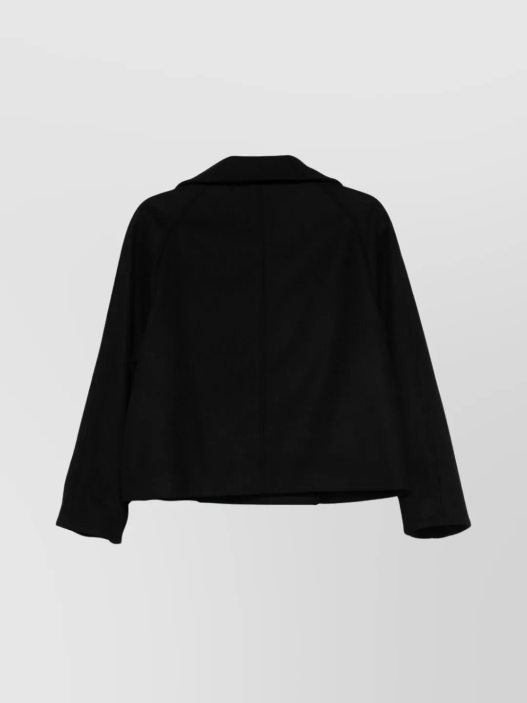 Paul Smith Double-breasted Blazer Wide Collar In Black