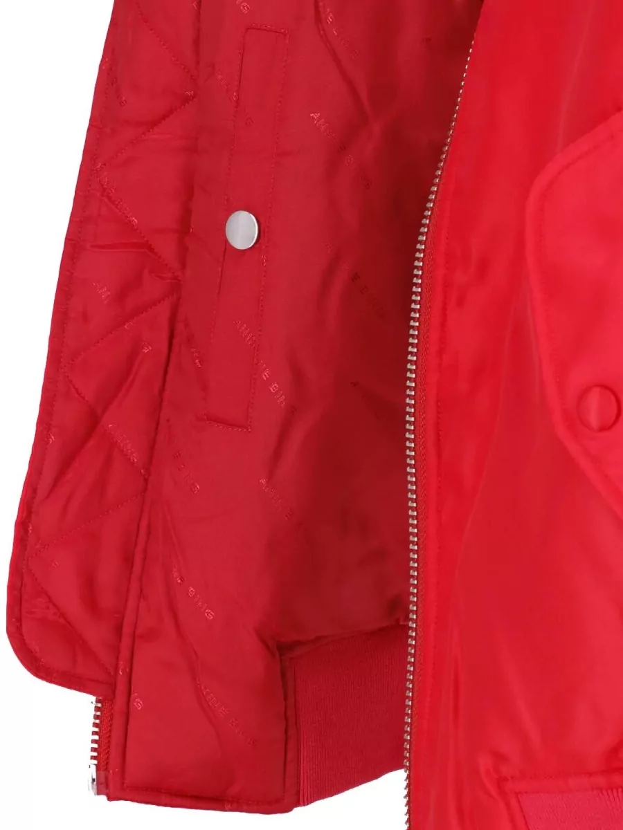 Anine Bing Coat