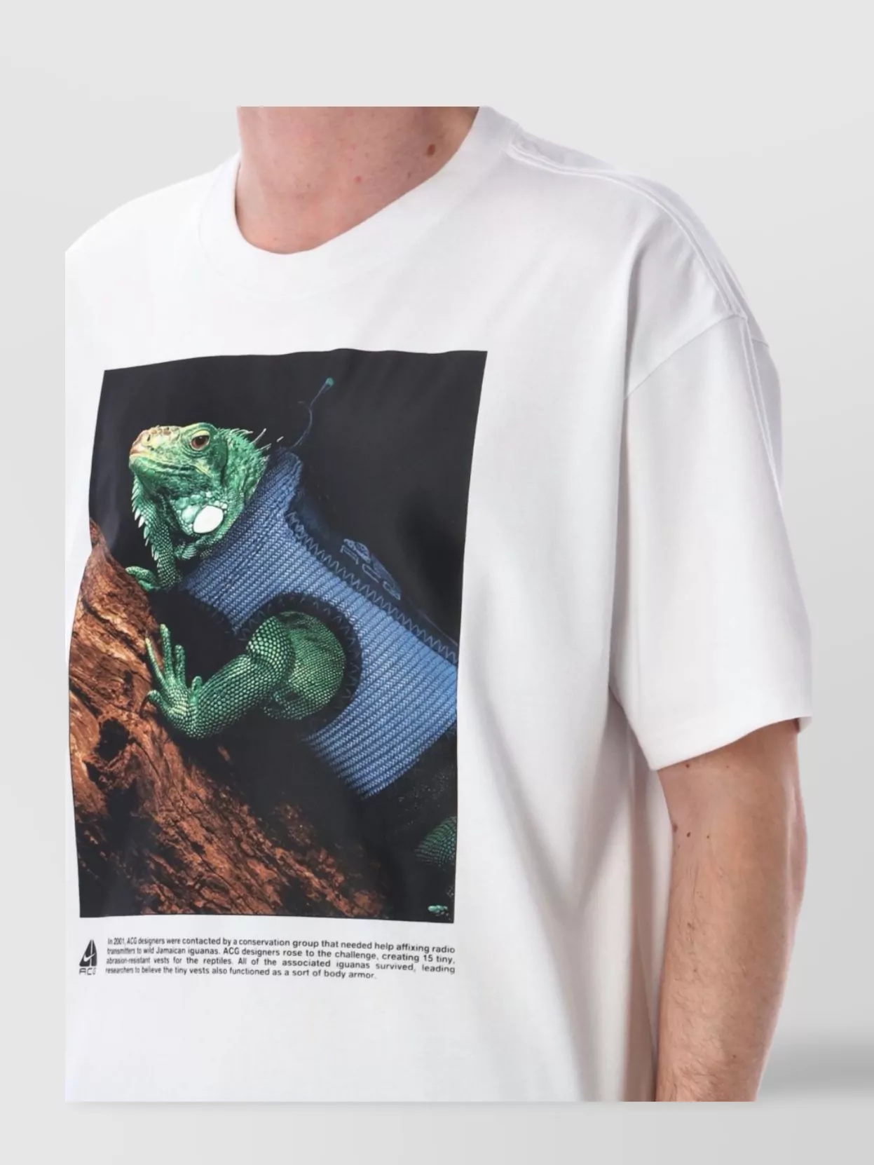 Nike Acg Graphic T-Shirt Short Sleeves