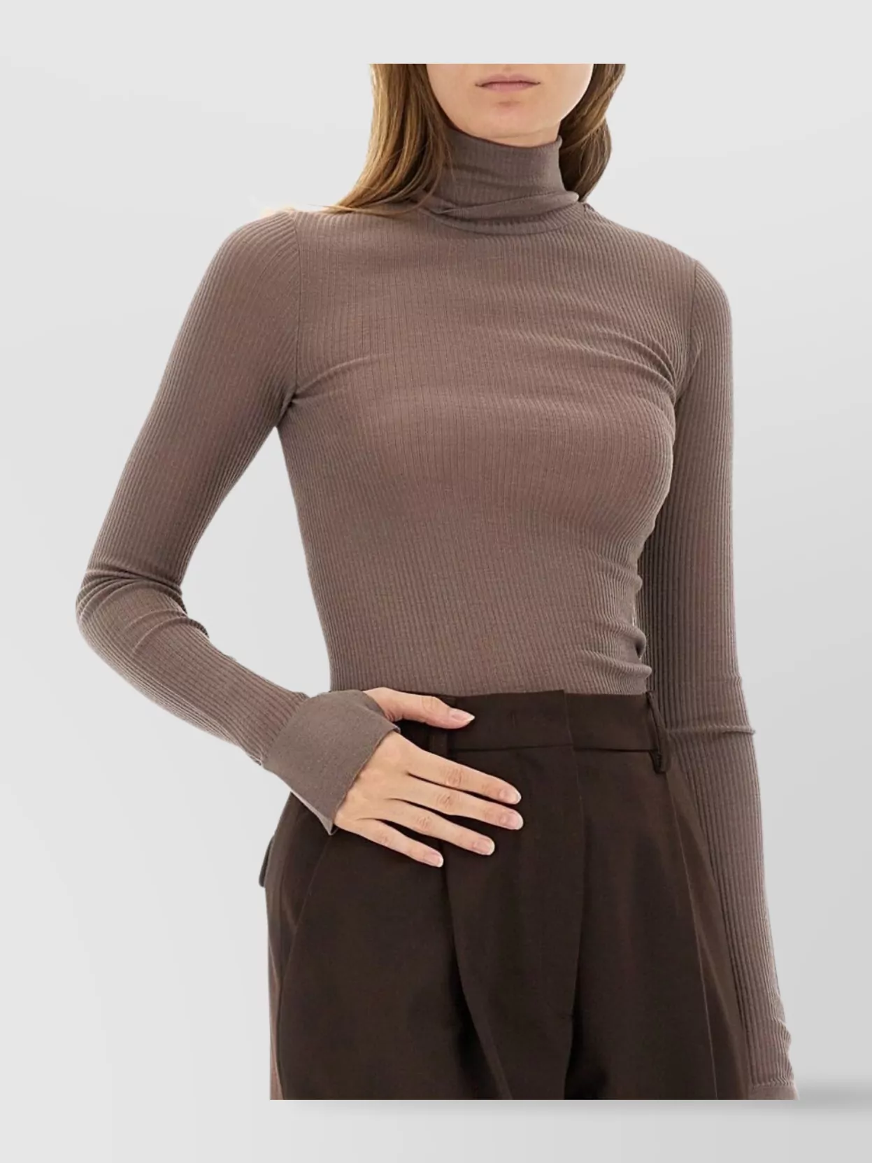 Lemaire Fitted Long Sleeve Turtleneck Top