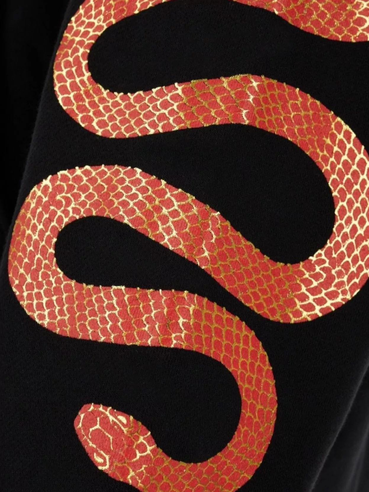 Amiri Black Hoodie With Maxi Logo Lettering On The Front And Snake Print On The Sleeves In Cotton Man