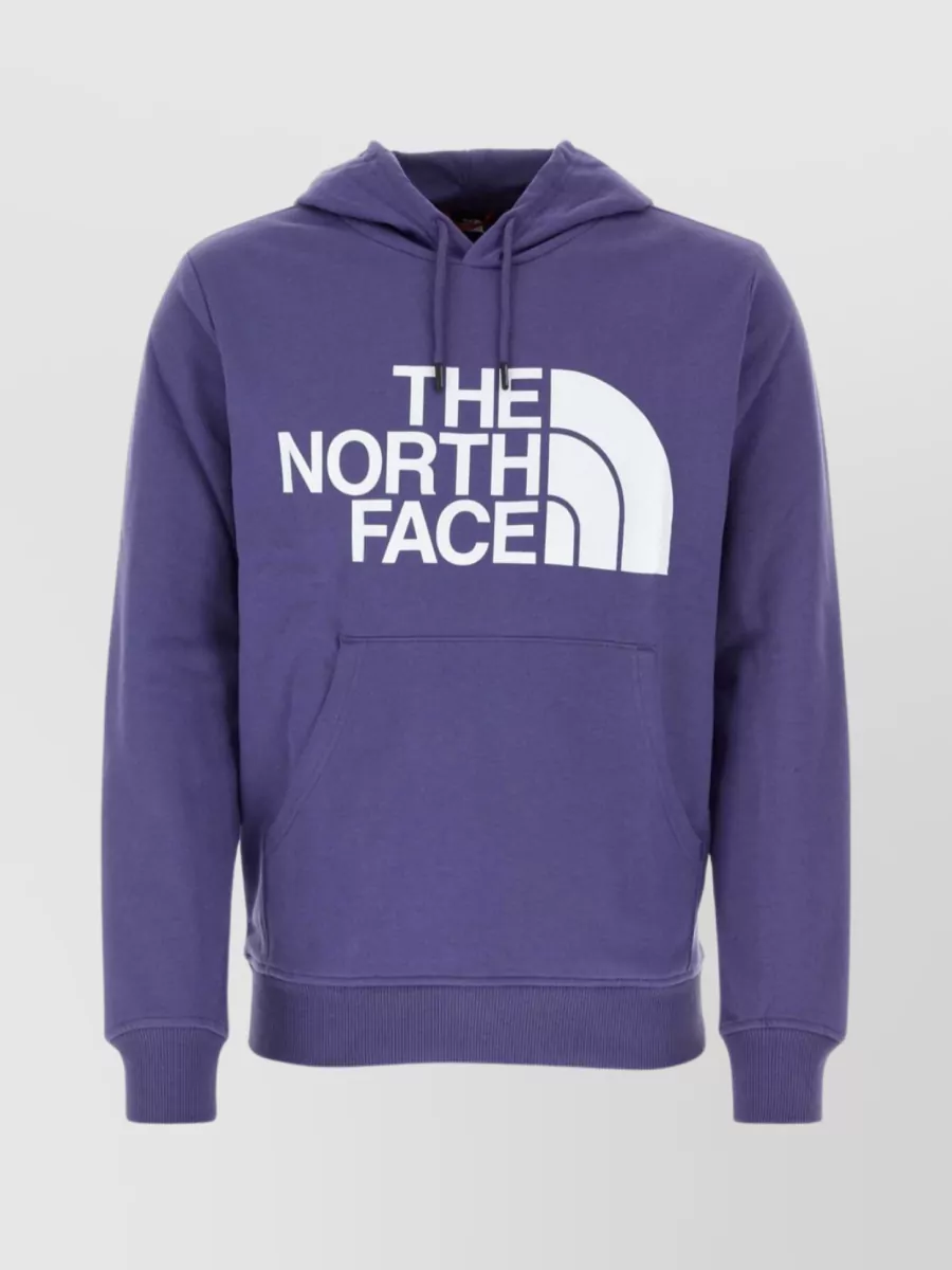 Shop The North Face Sweater Hooded Drawstring Ribbed Cuffs In Purple