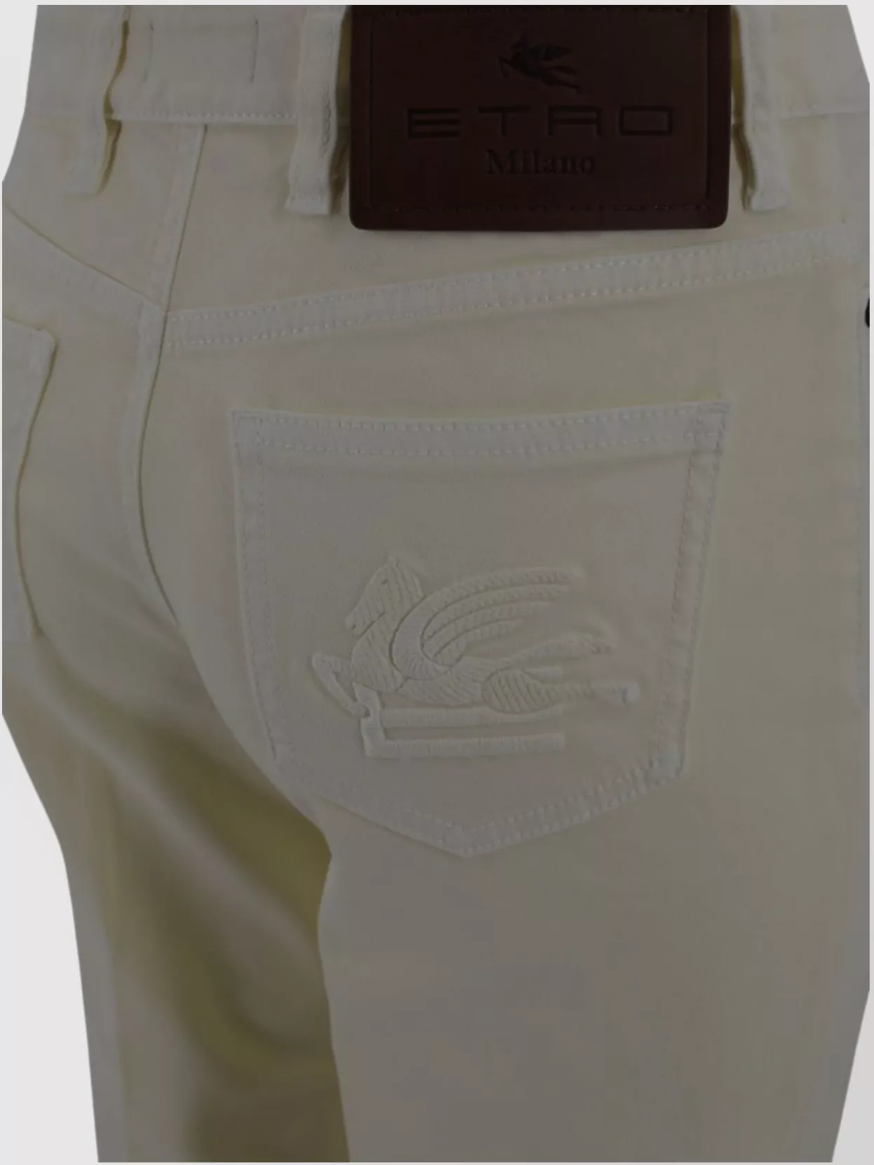 Etro Casual Trousers Embroidered Detail