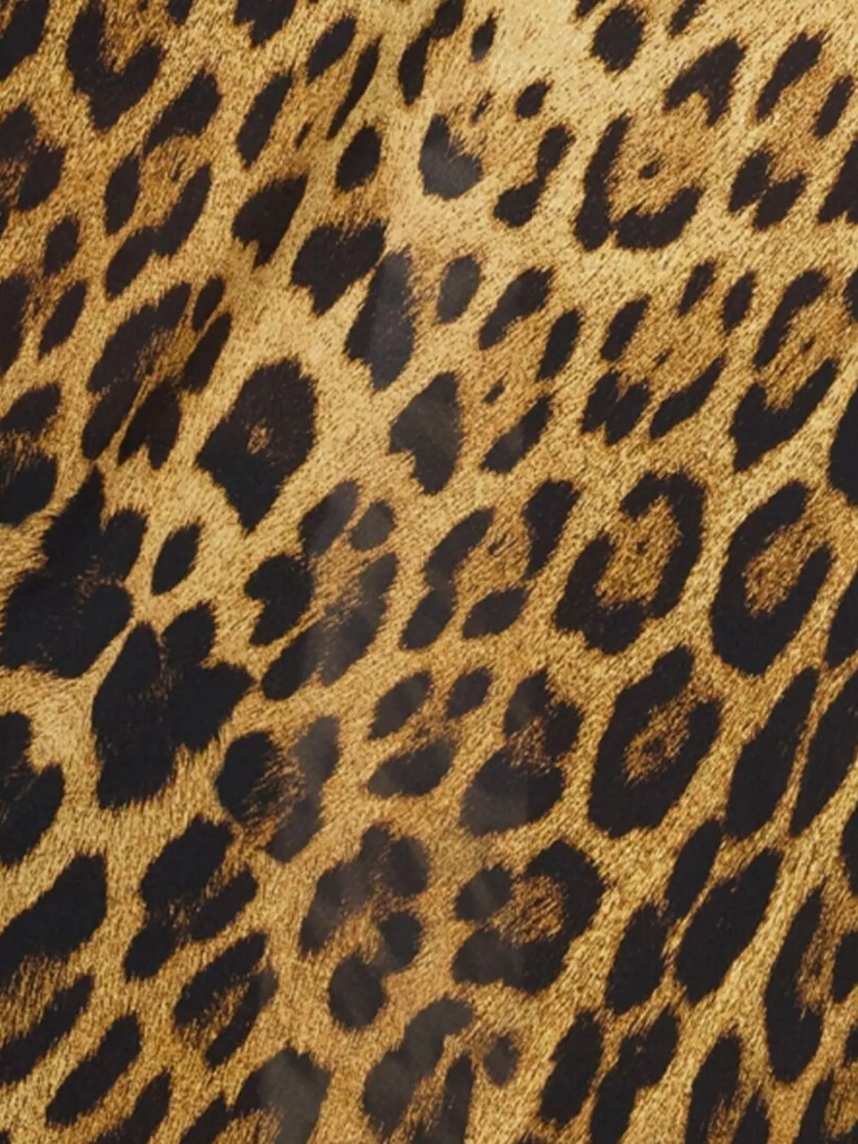 Roberto Cavalli Leopard Print Draped Dress With Open Back