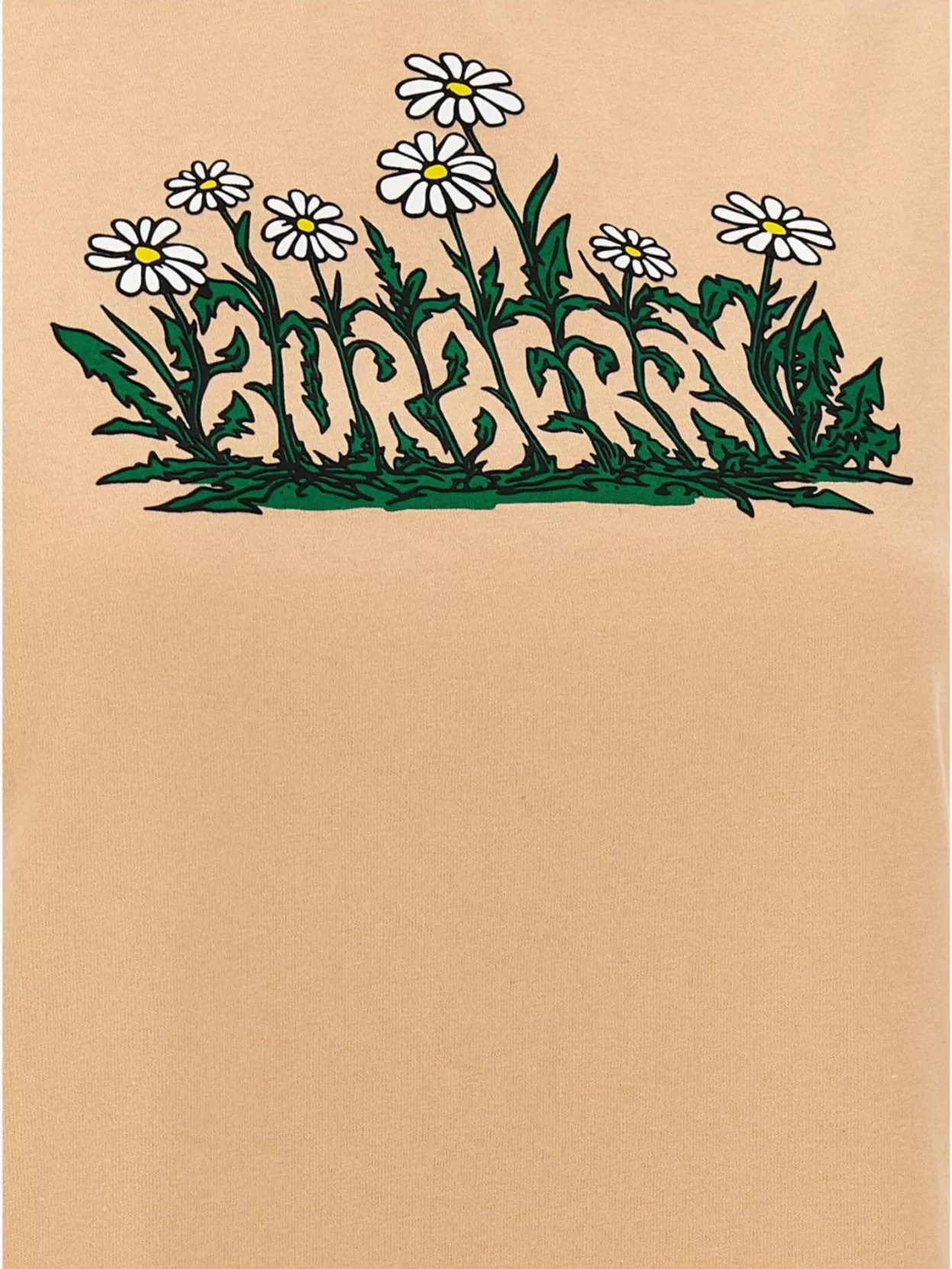 Burberry Graphic Print Crew Neck Short Sleeve Top