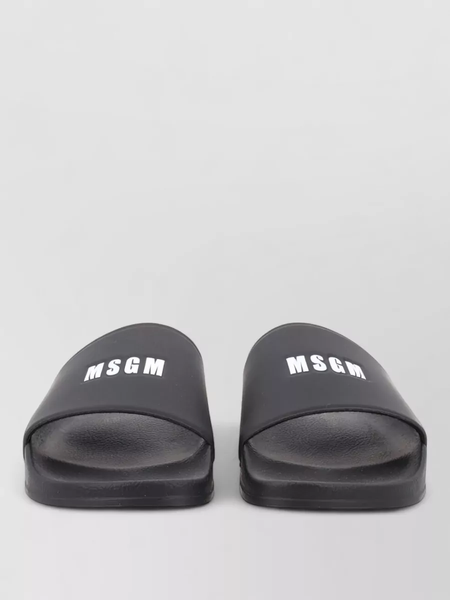 Msgm Logo Slides