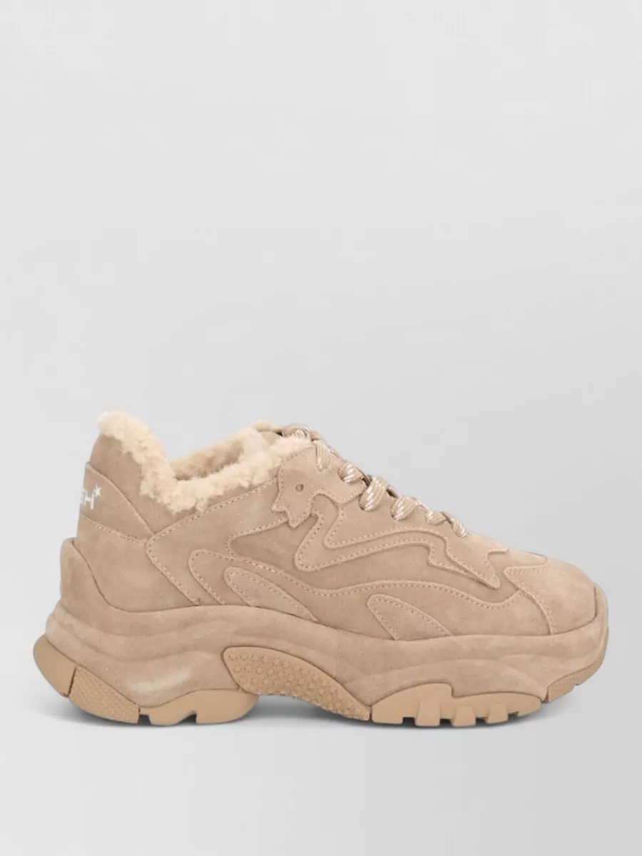 Ash Leather Low-Top Sneakers