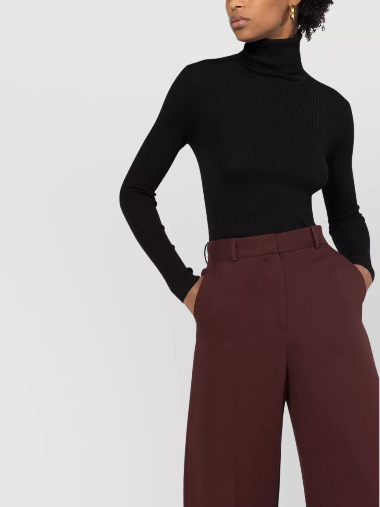 Parosh Fitted Turtleneck Knitwear Long Sleeves