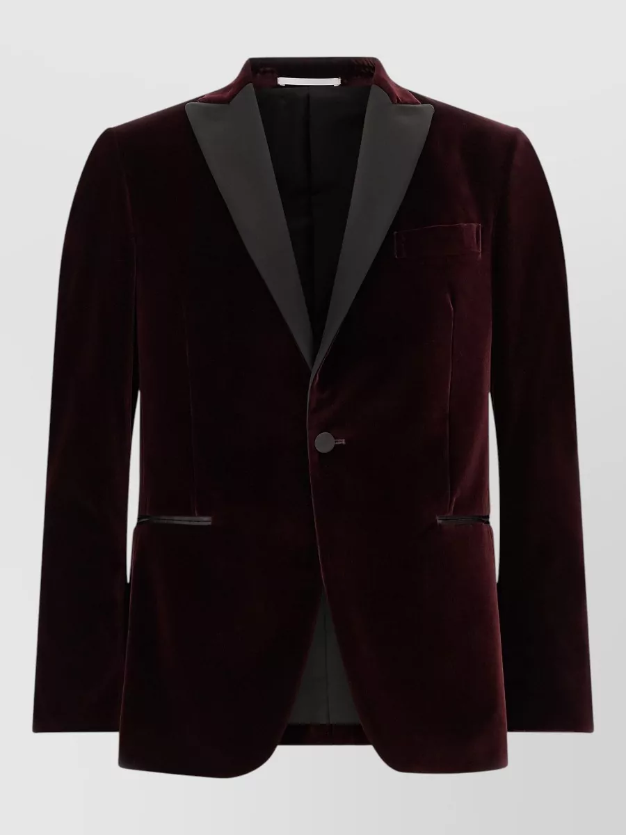 Pal Zileri Cotton Velvet Single-Breasted Blazer