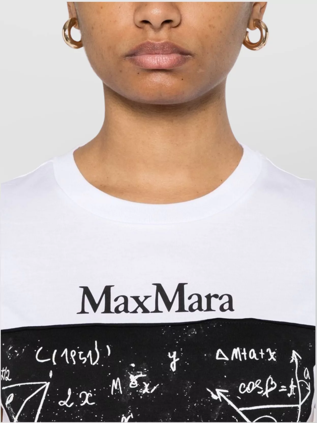 Max Mara Colibri Crew Neck Graphic Print Top