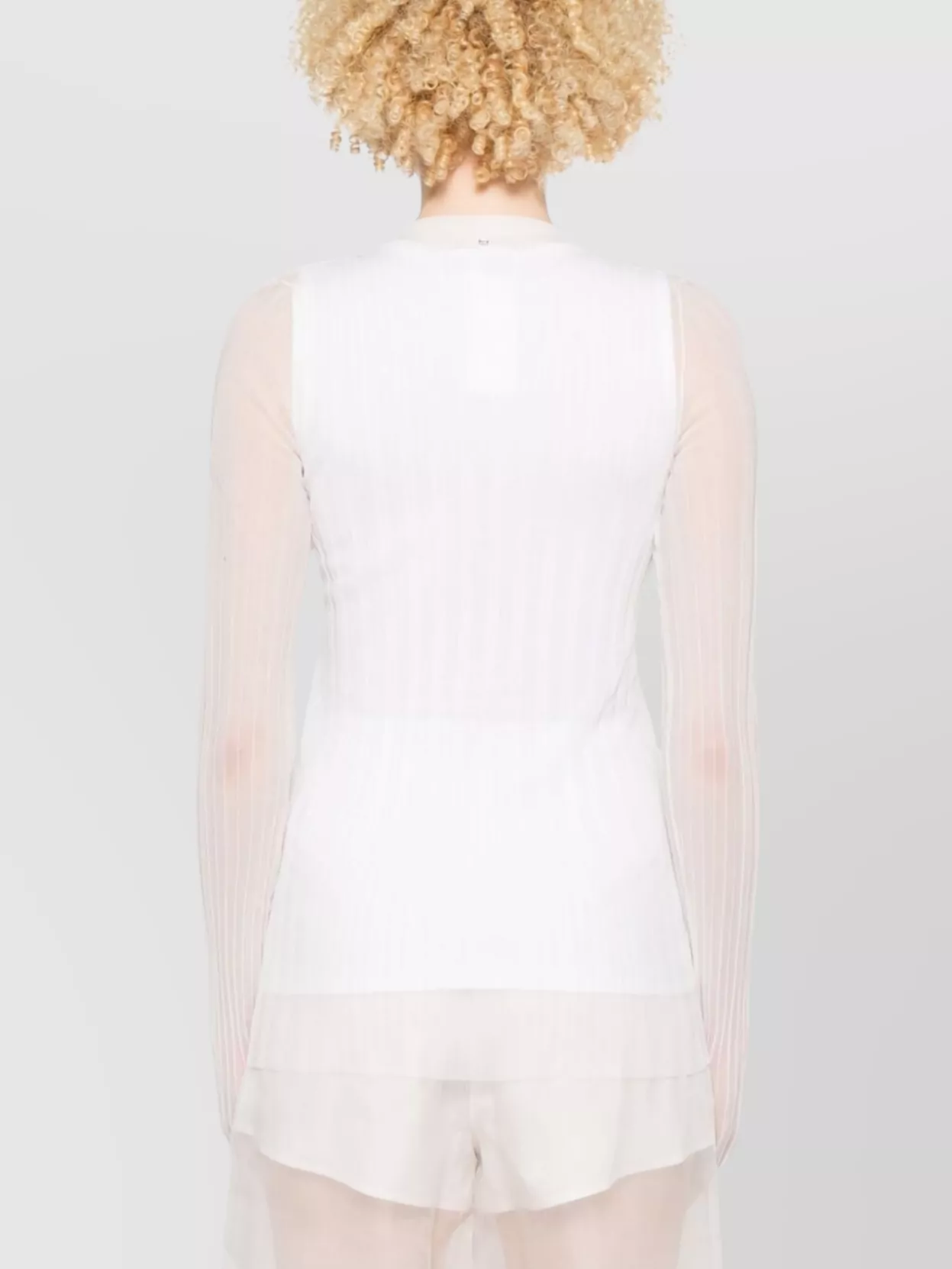 Max Mara Ribbed Crewneck Knitwear Sheer Sleeves