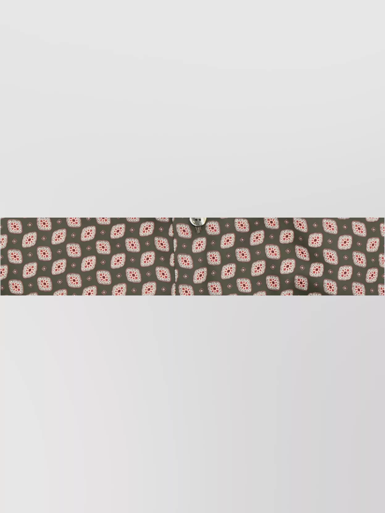 Etro Rome Printed Shirt Buttons