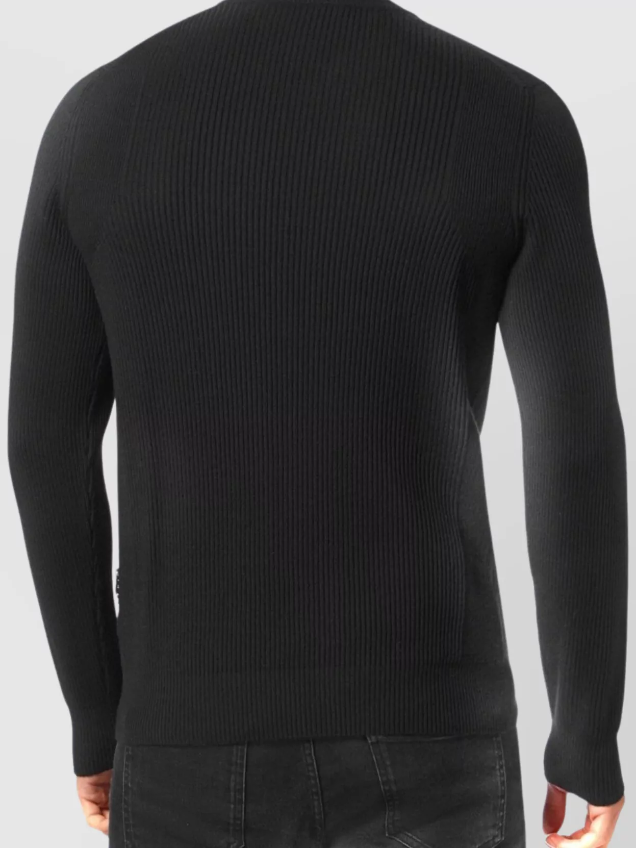 Philipp Plein Crew Neck Ribbed Texture Long Sleeves