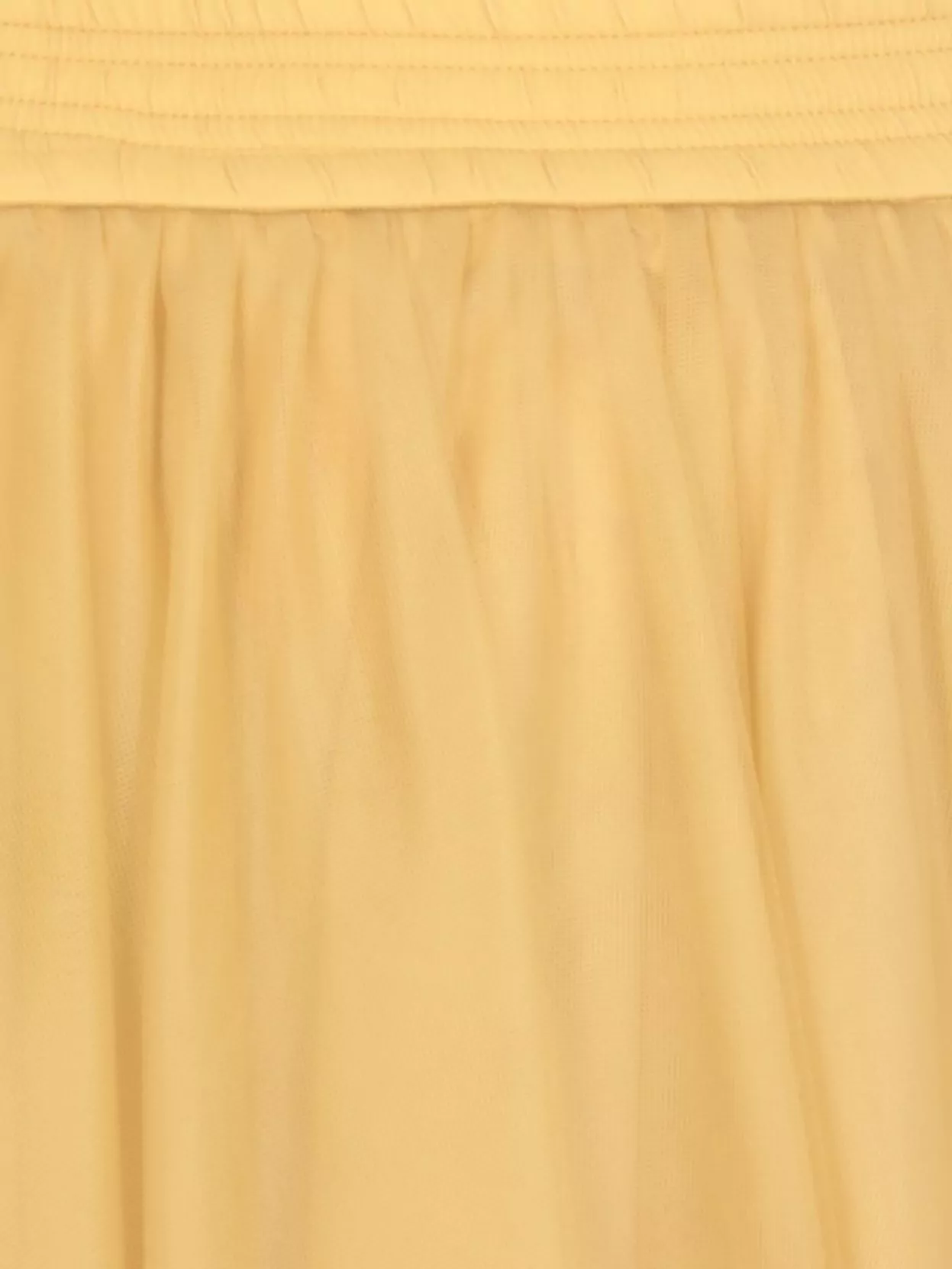 Fabiana Filippi A-Line Silhouette Skirt Sheer Overlay