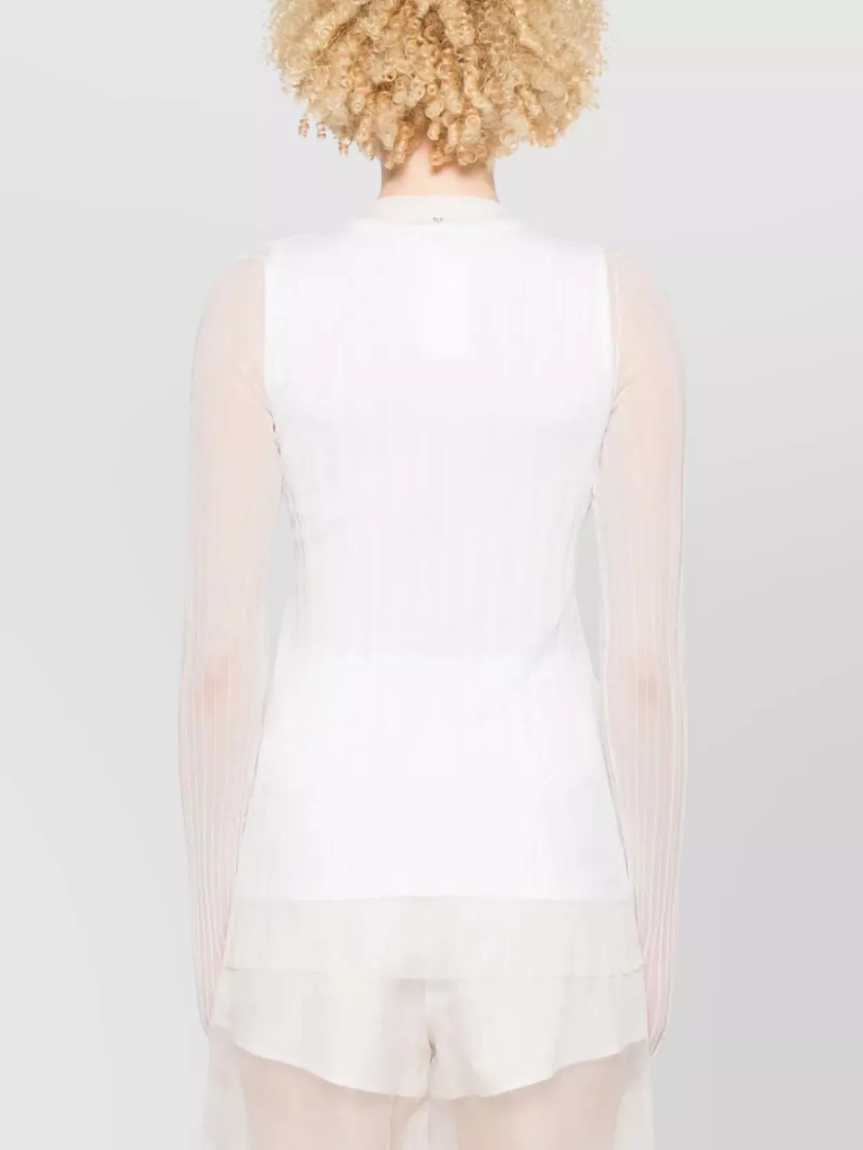 Sportmax Ribbed Crewneck Top With Sheer Long Sleeves