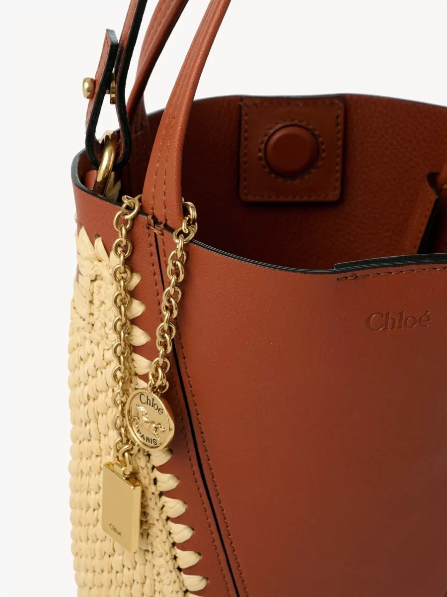 Chloé Chloé Spin Small Raffia And Leather Bucket Bag